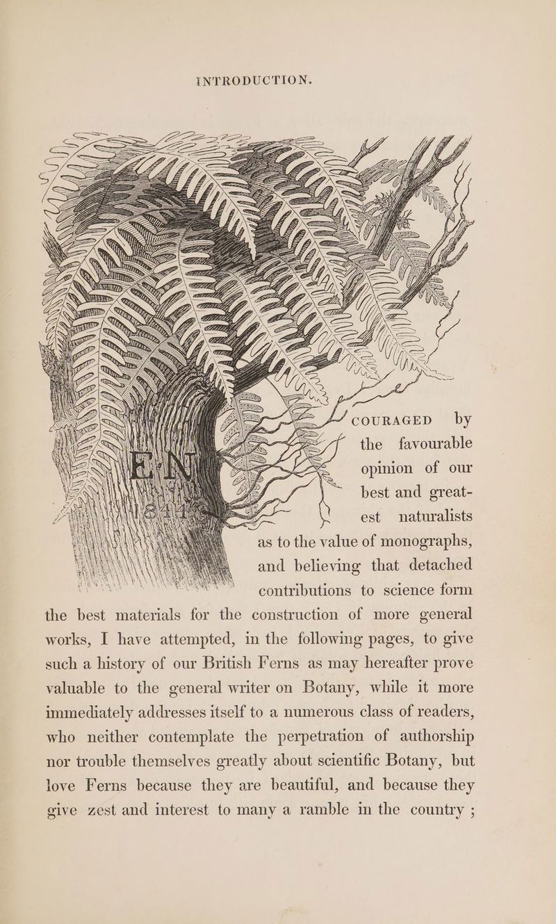 ZL/ COURAGED by the favourable opinion of our best and great- est naturalists as to the value of monographs, and believing that detached contributions to science form the best materials for the construction of more general works, I have attempted, in the following pages, to give such a history of our British Ferns as may hereafter prove valuable to the general writer on Botany, while it more immediately addresses itself to a numerous class of readers, who neither contemplate the perpetration of authorship nor trouble themselves greatly about scientific Botany, but love Ferns because they are beautiful, and because they give zest and interest to many a ramble im the country ;