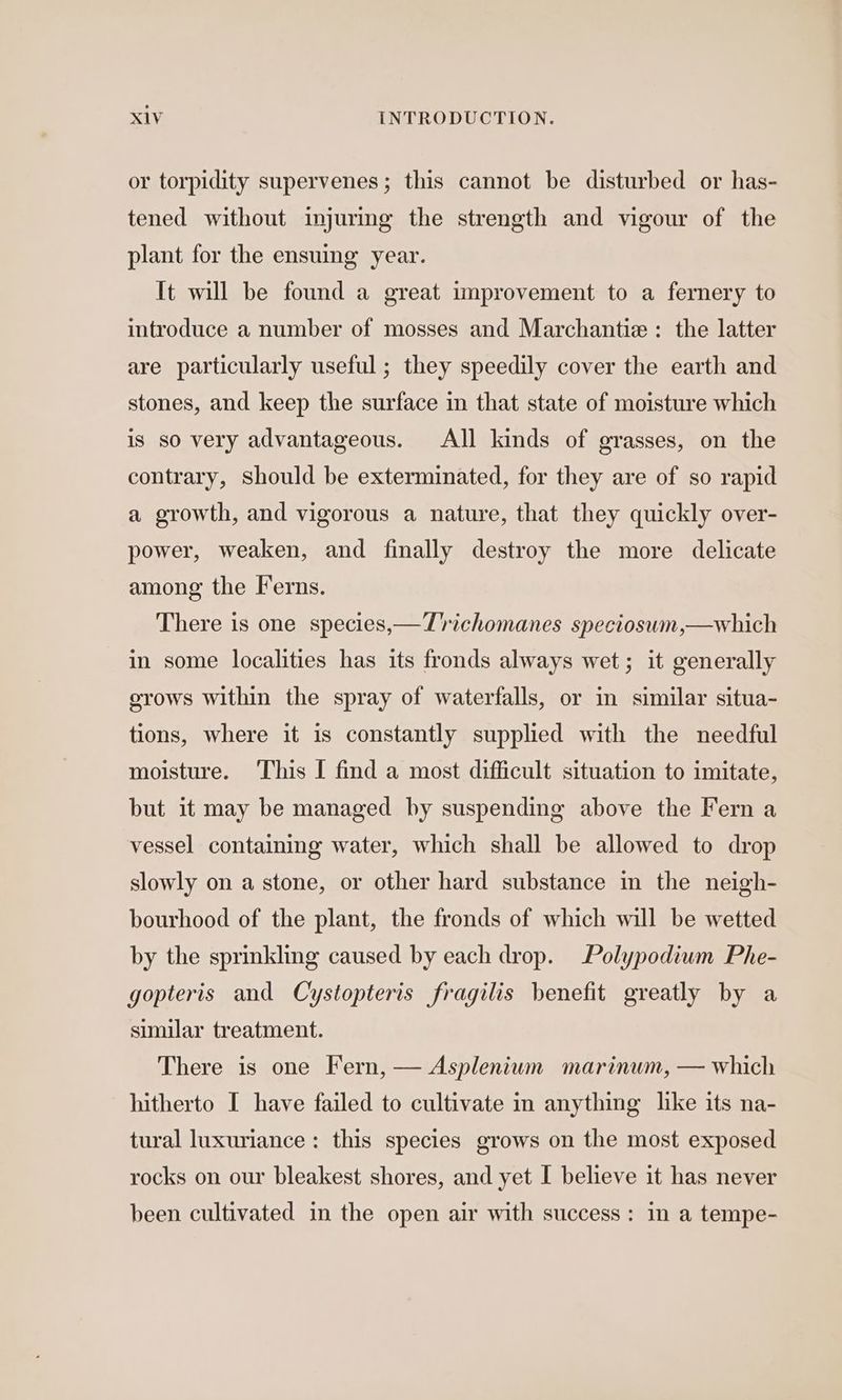 or torpidity supervenes ; this cannot be disturbed or has- tened without injurmg the strength and vigour of the plant for the ensuing year. It will be found a great improvement to a fernery to introduce a number of mosses and Marchantie : the latter are particularly useful ; they speedily cover the earth and stones, and keep the surface in that state of moisture which is so very advantageous. All kinds of grasses, on the contrary, Should be exterminated, for they are of so rapid a growth, and vigorous a nature, that they quickly over- power, weaken, and finally destroy the more delicate among the Ferns. There is one species,—Trichomanes speciosum,—which in some localities has its fronds always wet; it generally orows within the spray of waterfalls, or in similar situa- tions, where it is constantly supplied with the needful moisture. ‘This I find a most difficult situation to imitate, but it may be managed by suspending above the Fern a vessel containing water, which shall be allowed to drop slowly on a stone, or other hard substance in the neigh- bourhood of the plant, the fronds of which will be wetted by the sprinkling caused by each drop. Polypodium Phe- gopteris and Cystopteris fragilis benefit greatly by a similar treatment. There is one Fern, — Asplenium marinum, — which hitherto I have failed to cultivate in anything like its na- tural luxuriance: this species grows on the most exposed rocks on our bleakest shores, and yet I believe it has never been cultivated in the open air with success: in a tempe-