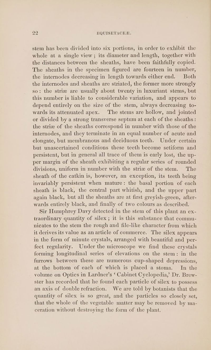 stem has been divided into six portions, in order to exhibit the whole at a single view; its diameter and length, together with the distances between the sheaths, have been faithfully copied. The sheaths in the specimen figured are fourteen in number, the internodes decreasing in length towards either end. Both the internodes and sheaths are striated, the former more strongly so: the striz are usually about twenty in luxuriant stems, but this number is liable to considerable variation, and appears to depend entirely on the size of the stem, always decreasing to- wards its attenuated apex. The stems are hollow, and jointed or divided by a strong transverse septum at each of the sheaths: the strize of the sheaths correspond in number with those of the internodes, and they terminate in an equal number of acute and elongate, but membranous and deciduous teeth. Under certain but unascertained conditions these teeth become setiform and persistent, but in general all trace of them is early lost, the up- per margin of the sheath exhibiting a regular series of rounded divisions, uniform in number with the strie of the stem. The sheath of the catkin is, however, an exception, its teeth being invariably persistent when mature: the basal portion of each sheath is black, the central part whitish, and the upper part again black, but all the sheaths are at first greyish-green, after- wards entirely black, and finally of two colours as described. Sir Humphrey Davy detected in the stem of this plant an ex- traordinary quantity of silex ; it 1s this substance that commu- nicates to the stem the rough and file-like character from which it derives its value as an article of commerce. The silex appears in the form of minute crystals, arranged with beautiful and per- fect regularity. Under the microscope we find these crystals forming longitudinal series of elevations on the stem: in the furrows between these are numerous cup-shaped depressions, at the bottom of each of which is placed a stoma. In the volume on Optics in Lardner’s ‘ Cabinet Cyclopedia,’ Dr. Brew- ster has recorded that he found each particle of silex to possess an axis of double refraction. We are told by botanists that the quantity of silex is so great, and the particles so closely set, that the whole of the vegetable matter may be removed by ma- ceration without destroying the form of the plant.