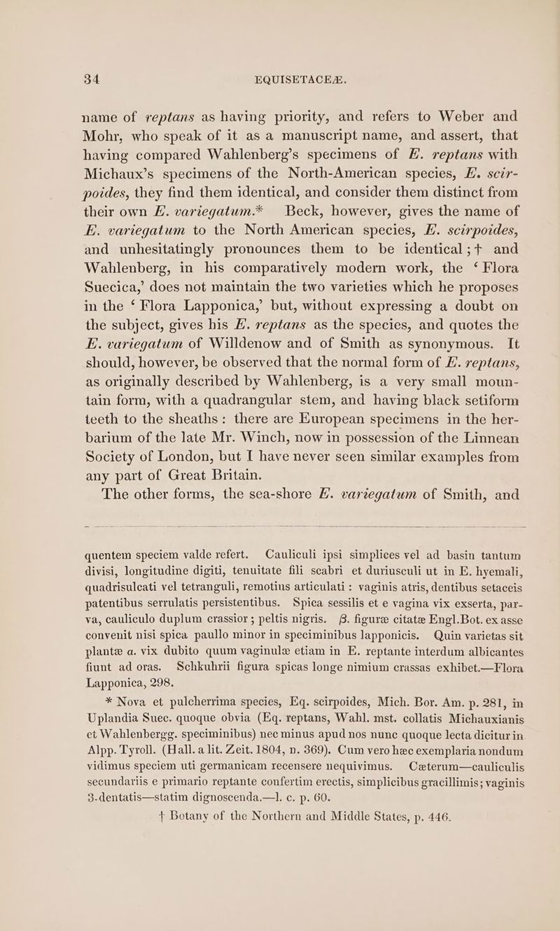 name of reptans as having priority, and refers to Weber and Mohr, who speak of it as a manuscript name, and assert, that having compared Wahlenberg’s specimens of H. reptans with Michaux’s specimens of the North-American species, E. scir- poides, they find them identical, and consider them distinct from their own FE. variegatum.* Beck, however, gives the name of E. variegatum to the North American species, E. scirpoides, and unhesitatingly pronounces them to be identical;+ and Wahlenberg, in his comparatively modern work, the ‘ Flora Suecica,’ does not maintain the two varieties which he proposes in the ‘ Flora Lapponica,’ but, without expressing a doubt on the subject, gives his H. reptans as the species, and quotes the E. variegatum of Willdenow and of Smith as synonymous. It should, however, be observed that the normal form of EF’. reptans, as originally described by Wahlenberg, is a very small moun- tain form, with a quadrangular stem, and having black setiform teeth to the sheaths: there are European specimens in the her- barium of the late Mr. Winch, now in possession of the Linnean Society of London, but [ have never seen similar examples from any part of Great Britain. The other forms, the sea-shore H. varzegatum of Smith, and quentem speciem valde refert. Cauliculi ipsi simplices vel ad basin tantum divisi, longitudine digiti, tenuitate fili scabri et duriusculi ut in E. hyemali, quadrisulcati vel tetranguli, remotius articulati: vaginis atris, dentibus setaceis patentibus serrulatis persistentibus. Spica sessilis et e vagina vix exserta, par- va, cauliculo duplum crassior ; peltis nigris. £. figure citate Engl. Bot. ex asse convenit nisi spica paullo minor in speciminibus lapponicis. Quin varietas sit plante a. vix dubito quum vaginule etiam in E. reptante interdum albicantes fiunt ad oras. Schkuhrii figura spicas longe nimium crassas exhibet.—Flora Lapponica, 298. * Nova et pulcherrima species, Eq. scirpoides, Mich. Bor. Am. p. 281, in Uplandia Suec. quoque obvia (Eq. reptans, Wahl. mst. collatis Michauxianis et Wahlenbergg. speciminibus) nec minus apud nos nunc quoque lecta dicitur in. Alpp. Tyroll. (Hall. a lit. Zeit. 1804, n. 369), Cum vero hec exemplaria nondum vidimus speciem uti germanicam recensere nequivimus. Caterum—cauliculis secundariis e primario reptante confertim erectis, simplicibus gracillimis; vaginis 3-dentatis—statim dignoscenda.—l. c. p. 60. + Botany of the Northern and Middle States, p. 446.