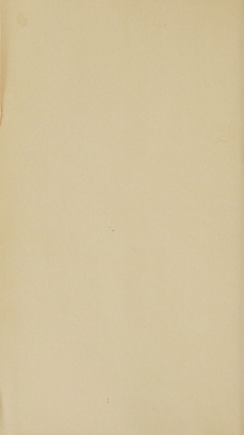 ey fs , ti ry ey ; 7 fh ahs wt i i aw eh ES) | CNW ren Ay uo Rin
