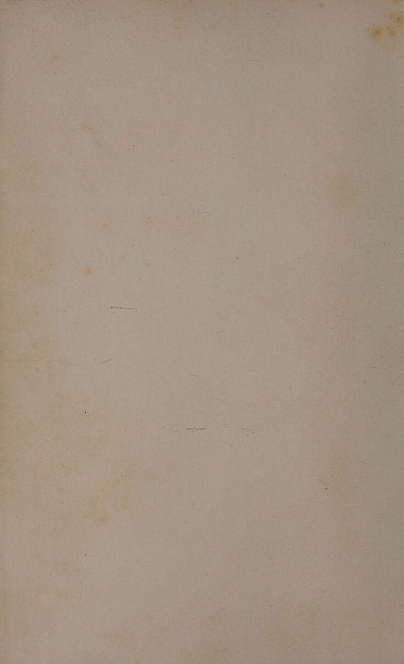 “er Ce ¥ : , t f ¥ ee ree | > ania Ae a ee 7 ie aed) Ay  es