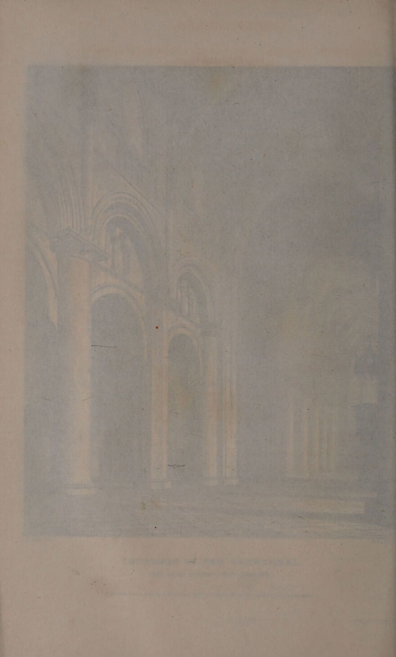 eae is. a. ¢ hee i Pre «i PP