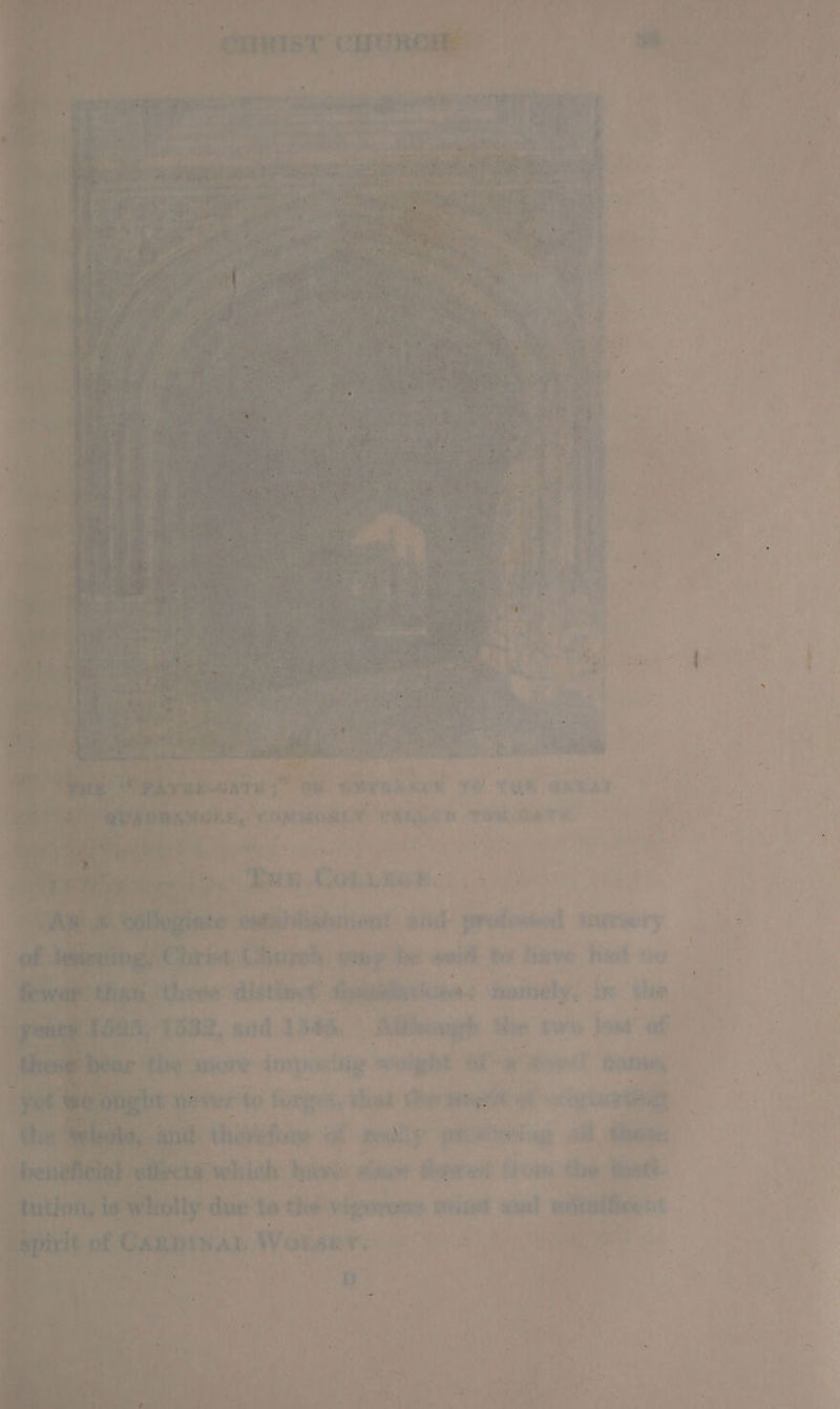 ipriaty. 7 Ht wees wise ee: se ey Md