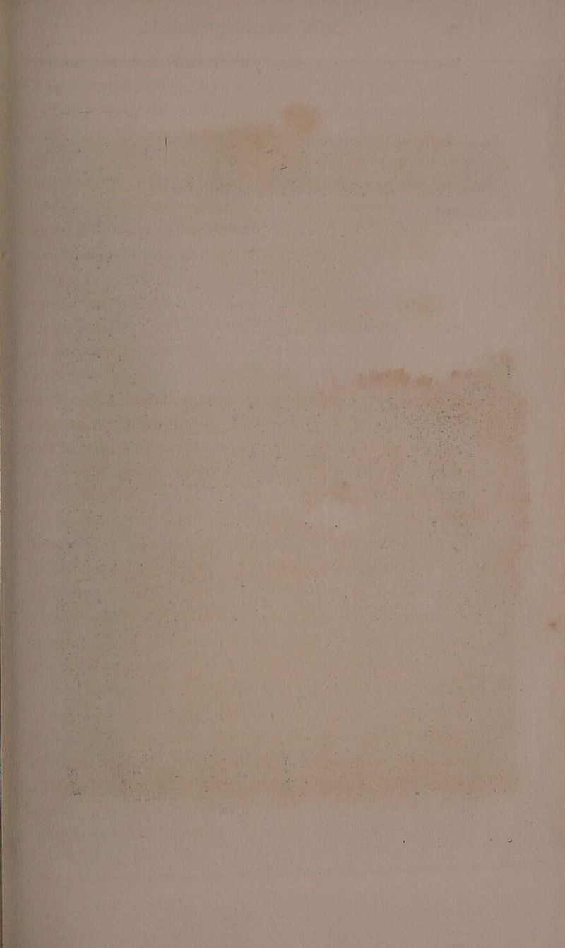 a — om Xe wa een ~ dees