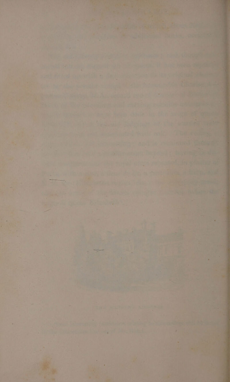 Ee eS ae en EF Vial tp dg Sh a ee 2a I 2 ‘ij , ; , eA 7 ~aa* Lis . ‘ ~ : a: ee : 2 \ . 2 Ada ny aS ee A) aa Tee berks va ’ ey ae ‘ sie tt \ ‘ f aes * a 7 ; ay Le ‘ eit . Pity . J y i = hy ee) Me <2 ae y an * ‘ jl iP! ¥ tr + X ; ye Py 7? s ce on, a x bed wo. = ee > ‘ 1 *: r \ al * 4 ° ’ il ‘ » ; ‘  3 Bf, ; y a iy