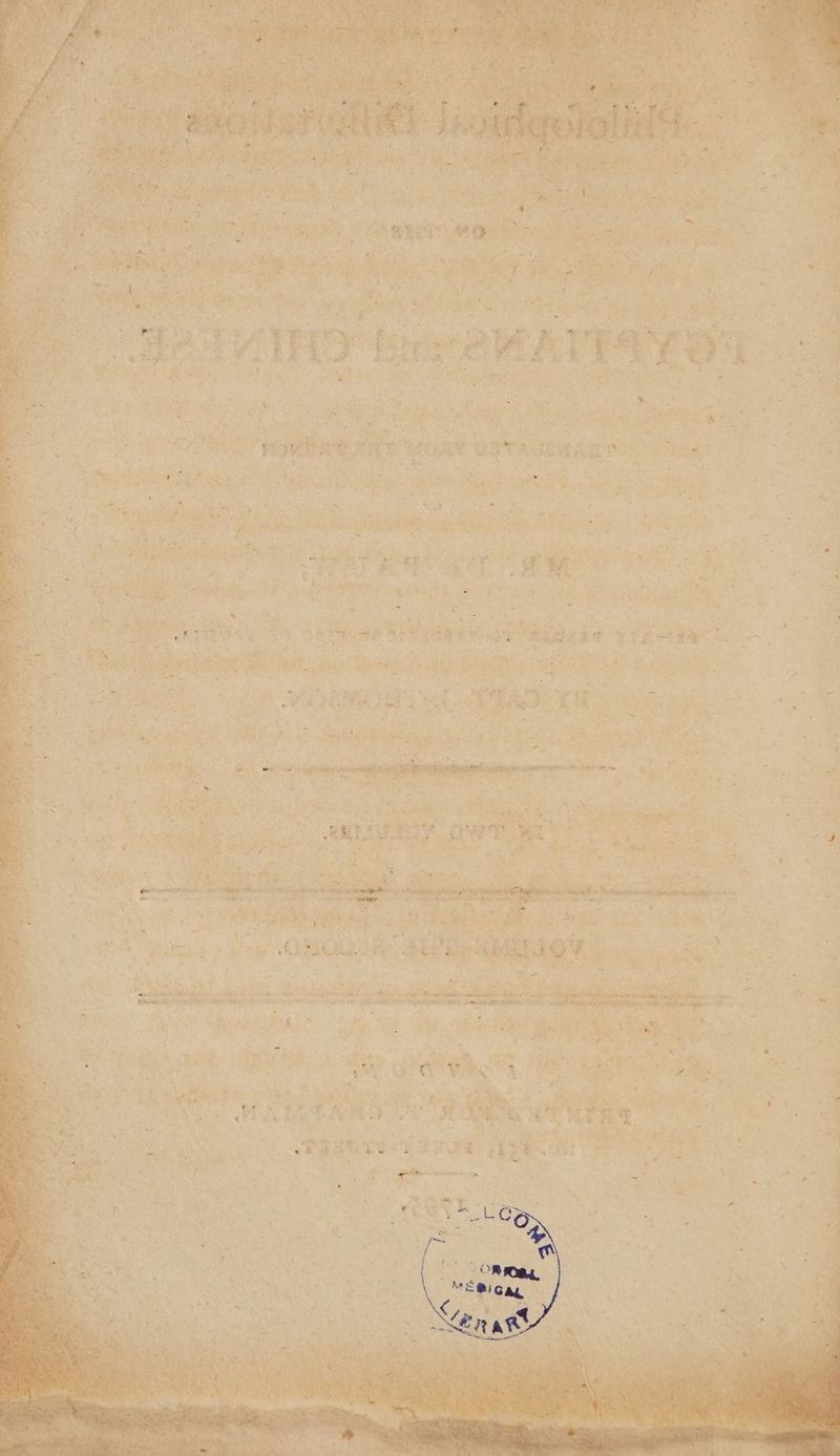 > re SE HE ps | id tai FAX RUE ‘4 A à Viera CN À DANCE COTES Fes EE cire, Pre