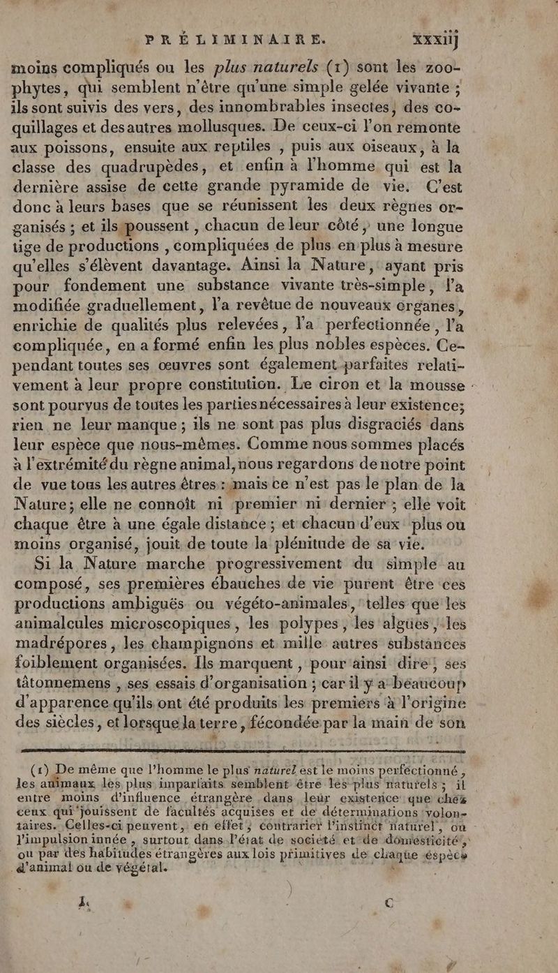 moins compliqués ou les plus naturels (x) sont les zoo- phytes, qui semblent n’être qu'une simple gelée vivante ; ils sont suivis des vers, des innombrables insectes) dés co- quillages et desautres mollusques. De ceux-ci l’on remonte aux poissons, ensuite aux reptiles , puis aux oiseaux, à la classe des quadrupèdes, et enfin à l'homme qui est la dernière assise de cette grande pyramide de vie, C’est donc à leurs bases que se réunissent les deux règnes or- ganisés ; et ilspoussent , chacun de leur côté } une longue tige de productions , compliquées de plus en plus à mesure qu'elles s'élèvent davantage. Ainsi la Nature, ayant pris our fondement une substance vivante très-simple, l'a modifiée graduellement, l’a revêtue de nouveaux organes, enrichie de qualités plus relevées, l'a perfectionnée, l'a compliquée, en a formé enfin les plus nobles espèces. Ce- pendant toutes ses œuvres sont également parfaites relati- vement à leur propre constitution. Lie ciron et la mousse : sont pourvus de toutes les partiesnécessaires à leur existence; rien ne leur manque; ils ne sont pas plus disgraciés dans leur espèce que nous-mêmes. Comme nous sommes placés à l'extrémité du règne animal, nous regardons de notre point de vue tous les autres êtres :1mais ce n’est pas le plan de la Nature; elle ne connoît ni premier ni dernier ; elle voit chaque être à une égale distance ; et chacun d'eux plus où moins organisé, jouit de toute la plénitude de sa vie. Si la Nature marche progressivement du simple au composé, ses premières ébauches de vie purent être ces productions ambiguës ou végéto-animales, ‘telles que les animalcules microscopiques, les polypes, les algües les madrépores , les champignons et mille autres substances foiblement organisées. [ls marquent , pour ainsi dire; ses tàtonnemens , ses essais d'organisation ; Car il ÿ a béaucoup d'apparence qu'ils ont été produits les premiérs à l’origine des siècles, et lorsque laterre , fécondée par la main de son # (1) De même que l’homme le plus naturel est le moins perféctionné , les atimaux les plus impariaits semblent être les plus naturels ; il entre moins d'influence étrangère dans leur existence que chéx ceux qui jouissent de facultés acquises et de déterminations ‘volon- taires. Celles-ci peuvent, en éffet; contrarier l'instinct naturel, ou : l'impulsion innée , surtout dans l’état de société et°de dômiésticité, ou par des habïiudes étrangères aux lois primitives de chaque éspècs d'animal ou de végétal. | : ne. ] &amp; # - C # #