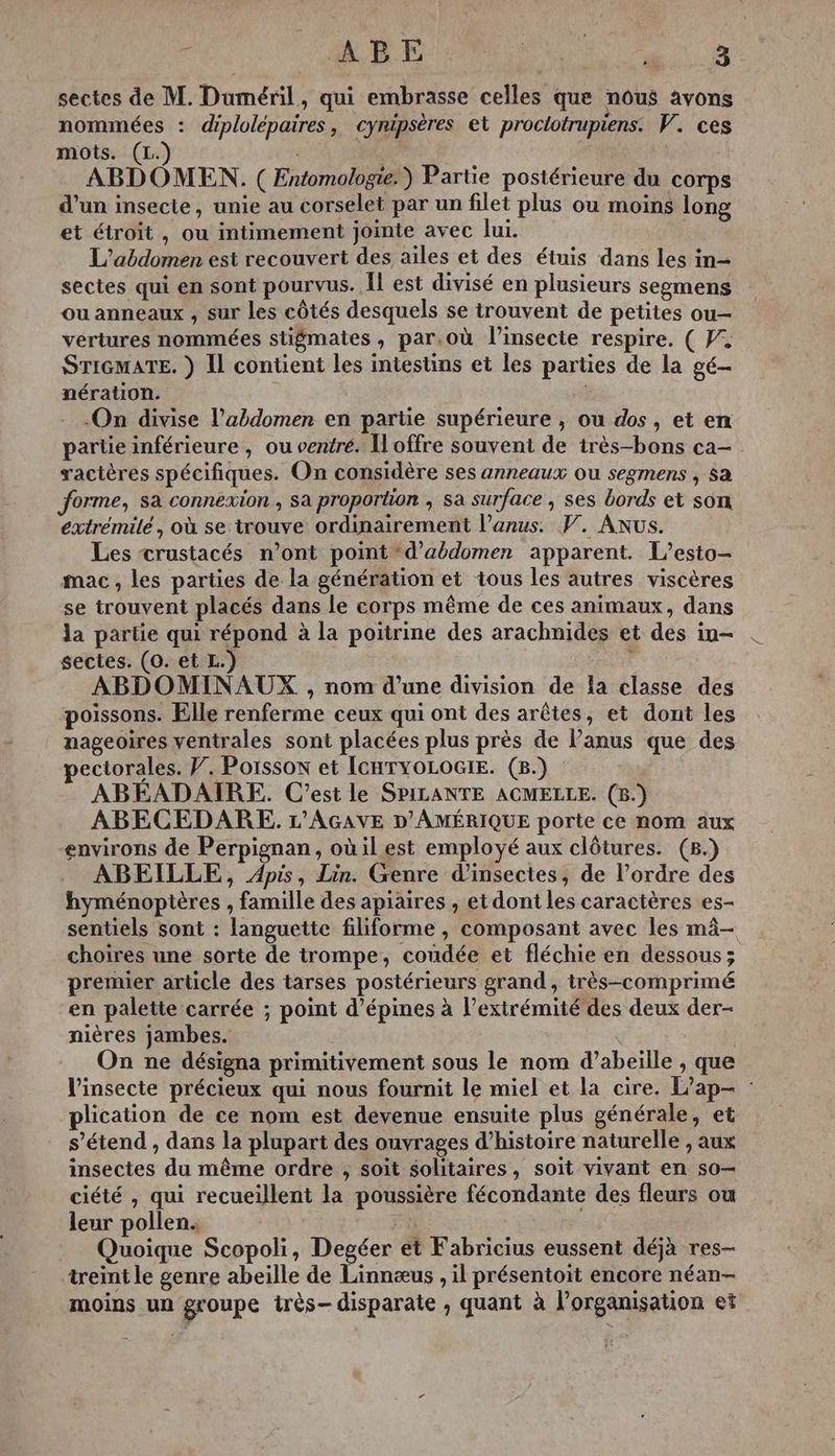 A A PO PR CNE A de sectes de M. Daméril, qui embrasse celles que nous avons nommées : dplolépaires, cynipséres et proctotrupiens: V. ces mots. (L.) LEA ABDOMEN. ( Entomologi:) Partie postérieure du corps d’un insecte, unie au corselet par un filet plus ou moins long et étroit, ou intimement jointe avec lui. L'abdomen est recouvert des ailes et des étuis dans les in- sectes qui en sont pourvus. Îl est divisé en plusieurs segmens ou anneaux ; sur les côtés desquels se trouvent de petites ou- vertures nommées stigmates, par.où l’insecte respire. ( V4 STIGMATE. } Il contient les intestins et les parties de la gé- nération. On divise l'abdomen en partie supérieure , ou dos, et en partie inférieure, ou ventré. Hoffre souvent de très-bons ca ractères spécifiques. On considère ses anneaux ou segmens , $a forme, sa connexion, sa proportion , sa surface, ses bords et son extrémilé, où se trouve ordinairement l'anus. PV. ANüs. Les crustacés n’ont point d'abdomen apparent. L’esto- mac , les parties de la génération et tous les autres viscères se trouvent placés dans le corps même de ces animaux, dans la partie qui répond à la poitrine des arachnides et des in- sectes. (0. et L.) ABDOMINAUX , nom d’une division de la classe des poissons. Elle renferme ceux qui ont des arêtes, et dont les nageoires ventrales sont placées plus près de Panus que des ectorales. Ÿ. Poisson et IcHTYOLOGIE. (8.) ABEADAIRE. C'est le SPILANTE ACMELLE. (8.) ABECEDARE. L’AGAVE D'AMÉRIQUE porte ce nom aux environs de Perpignan, oùil est employé aux clôtures. (8.) ABEILLE, Apis, Lin. Genre d'insectes, de l’ordre des hyménoptères , famille des apiaires , et dont les caractères es- sentiels sont : languette filiforme , composant avec les mâ- choires une sorte de trompe, coudée et fléchie en dessous; premier article des tarses postérieurs grand, très-comprimé en palette carrée ; point d’épines à l'extrémité des deux der- nières jambes. On ne désigna primitivement sous le nom d’abeille , que l'insecte précieux qui nous fournit le miel et la cire. L’ap- : plication de ce nom est devenue ensuite plus générale, et s'étend , dans la plupart des ouvrages d’histoire naturelle , aux insectes du même ordre , soit solitaires, soit vivant en so— ciété , qui recueillent la poussière fécondante des fleurs ow leur pollen. | Quoique Scopoli, Degéer et Fabricius eussent déjà res- treint le genre abeille de Linnæus , il présentoit encore néan-— moins un groupe très- disparate , quant à l’organisation et
