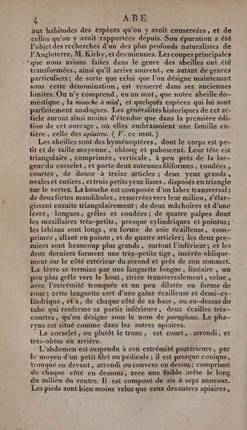 L ABE aux habitudes des espèces qu’on y avoit conservées , et de celles qu’on y avoit rapportées depuis. Son épuration a été l’objet des recherches d’un des plus profonds naturalistes de l'Angleterre, M. Kirby, et desmiennes. Les coupes principales . ‘que nous avions faites dans le genre des abeilles ont été transformées , ainsi qu’il arrive souvent, en autant de genres particuliers; de sorte que celui que l’on désigne maïntenant sous cette dénomination, est resserré dans ses anciennes limites. On n’y comprend, en un mot, que notre abeille do- mestique , la mouche à miel, et quelqués espèces qui lui sont ticle auront ainsi moins d’étendue que dans la première édi- tion de cet ouvrage , où elles embrassoient une famille en- tière , celle des upiaires. ( V. ce mot.) Les abeilles sont des hyménoptères, dont le corps est pe- tit et de taille moyenne, oblong et pubescent. Leur tête est triangulaire , comprimée, verticale, à peu près de la lar- geur du corselet , et porte deux antennes filiformes , coudées , courtes, de douze à treize articles ; deux yeux grands, ovales et entiers , ettrois petits yeux lisses , disposés en triangle sur le vertex. La bouche est composée d’un labre transversal; de deux fortes mandibules, resserrées vers leur milieu, s’élar- gissant ensuite triangulairement ; de deux mâchoires et d’une lèvre, longues, grêles et coudées ; de quatre palpes dont les maxillaires très-petits, presque cylindriques et pointus; : les labiaux sont longs , en forme de soie écailleuse, com primée , allant en pointe , et de quatre articles; les deux pre- miers sont beaucoup plus grands, surtout l’inférieur; et les deux derniers forment une très-petite tige , insérée oblique- ment sur le côté extérieur du second et près de son sommet. La lèvre se termine par une languette longue , linéaire , un peu plus grêle vers le bout , striée transversalement, velue , avec l'extrémité tronquée et un peu dilatée en forme de roue; cette languette sort d’une gaîne écailleuse et demi-cy- lindrique , et a, de chaque côté de sa base, ou au-dessus du tube qui renferme sa partie inférieure, deux écailles très-— courtes, qu’on désigne sous le nom de paragloses. Le pha- rynx est situé comme dans les autres apiaires. Le corselet, ou plutôt le tronc, est court, arrondi, et très-obtus en arrière. fé, L’abdomen est suspendu à son extrémité postérieure, par le moyen d’un petit filet ou pédicule ; il est presque conique, tronqué en devant, arrondi ou convexe en dessus; comprimé de chaque côté en dessous, avec une foible arête le long du milieu du ventre. Il est composé de six à sept anneaux. Les pieds sont bien moins velus que ceux des autres apiaires ,