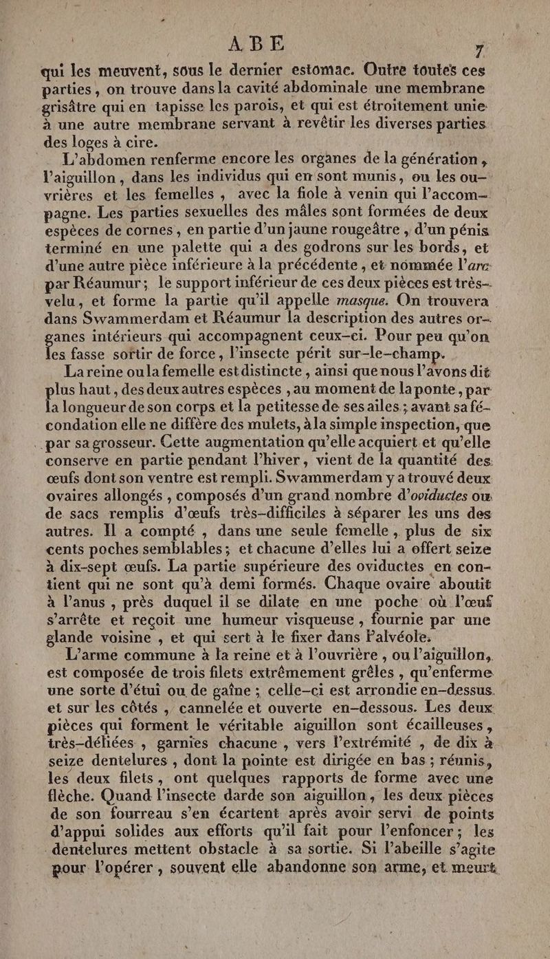 qui les meuvent, sous le dernier estomac. Outre toutes ce parties, on trouve dans la cavité abdominale une membrane grisâtre qui en iapisse les paroïs, et qui est étroitement unie: à une autre membrane servant à revêtir les diverses parties des loges à cire. | L’abdomen renferme encore les organes de la génération, Vaiguillon , dans les individus qui em sont munis, ou les ou- vrières et les femelles , avec la fiole à venin qui l’accom- pagne. Les parties sexuelles des mâles sont formées de deux espèces de cornes , en partie d’un jaune rougeâtre , d’un pénis terminé en une palette qui a des godrons sur les bords, et d’une autre pièce inférieure à la précédente , et nommée l'arc par Réaumur; le support inférieur de ces deux pièces est très velu, et forme la partie qu'il appelle masque. On trouvera dans Swammerdam et Réaumur la description des autres or- anes intérieurs qui accompagnent ceux-ci. Pour peu qu’on ke fasse sortir de force, l’insecte périt sur-le-champ. La reine oula femelle est distincte , ainsi que nous l’avons dié plus haut , des deux autres espèces ,au moment de laponte , par la longueur de son corps et la petitesse de ses ailes ; avant sa fé condation elle ne diffère des mulets, àla simple inspection, que par sa grosseur. Cette augmentation qu’elle acquiert et qu’elle conserve en partie pendant l'hiver, vient de la quantité des. œufs dont son ventre est rempli. Swammerdam y a trouvé deux ovaires allongés , composés d’un grand nombre d’oviductes ow de sacs remplis d'œufs très-difficiles à séparer les uns des autres. Il a compté , dans une seule femelle , plus de six cents poches semblables; et chacune d'elles lui à offert seize à dix-sept œufs. La partie supérieure des oviductes en con- tient qui ne sont qu'à demi formés. Chaque ovaire aboutit à l'anus , près duquel il se dilate en une poche où l’œuf s'arrête et recoit une humeur visqueuse , fournie par une glande voisine , et qui sert à le fixer dans Palvéole, L’arme commune à la reine et à l’ouvrière , ou l’aiguillon,, est composée de trois filets extrêmement grêles , qu'enferme une sorte d’étui ou de gaîne ; celle-ci est arrondie en-dessus. et sur les côtés , cannelée et ouverte en-dessous. Les deux pièces qui forment le véritable aiguillon sont écailleuses, très-déliées , garnies chacune , vers l’exirémité , de dix à seize dentelures , dont la pointe est dirigée en bas ; réunis, les deux filets, ont quelques rapports de forme avec une flèche. Quand l’insecte darde son aiguillon, les deux pièces de son fourreau s’en écartent après avoir servi de points d'appui solides aux efforts qu’il fait pour l’enfoncer; les _dentelures mettent obstacle à sa sortie. Si abeille s’agite pour. l’opérer , souvent elle abandonne son arme, et meurt