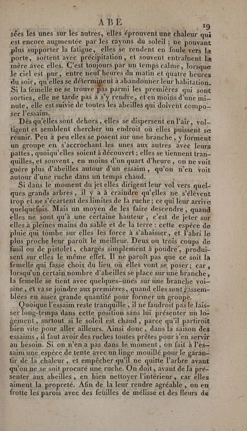 sées les unes sur les autres, elles éprouvent une chaleur qui est encore augmentée par les rayons du soleil ; ne pouvant plus supporter la fatigue », elles se rendent en foule vers la porte, sortent avec précipitation, et souvent entraînent læ mère avec elles. C’est toujours par un temps calme, lorsque le ciel est pur, entre neuf heures du matin et quatre heures du soir, qu’elles se déterminent à abandonner leur habitation. Si la femelle ne se trouve pas parmi les premières qui sont sorties, elle né tarde pas à s’y rendre, et en moins d’une mi nuie, elle estsuivie de toutes les abeilles qui doivent compo ser l’essaim., | mu | Dès qu’elles sont dehors , elles se dispersent en l’air, vol- tigent et semblent chercher un endroit où elles puissent se réunir. Peu à peu elles se posent Sur une branche , y forment un groupe en s’accrochant les unes aux autres avec leurs pattes, quoiqu'elles soient à découvert ; elles se tiennent tran- quilles, et souvent , en moins d’un quart d’heure, on ne voit guère plus d’abeilles autour d’un essaim, qu’on n’en voit autour d’une ruche dans un temps chaud. Si dans le moment du jet elles dirigent leur vol vers quel- ques grands arbres , il ; a à craindre qu'elles ne s'élèvent trop el.ne s’écarient des limites de la ruche; ce qui leur arrive quelquefois. Mais un moyen de les faire descendre, quand elles ne sont qu’à une certaine hauteur, c’est de jeter sur elles à pleines mains du sable et de la terre : cette espèce de pluie qui tombe sur elles les force à s’abaisser, et l’abri le plus proche leur paroït le meilleur, Deux ou trois coups de fusil où de pistolet, chargés simplement à poudre’, produi- sent sur elles le même effet. Il ne paroît pas que ce soit la femelle qui fasse choix du lieu où elles vont se poser; car, lorsqu'un certain nombre d’abeilles se place sur une branche, la femelle se tient avec quelques-unes sur une branche voi- sine , êt vase joindre aux premières, quand elles sont ÿ2ssem- blées en assez grande quantité pour former un groupe. Quoique l’essaim reste tranquille , ik ne faudroit pas le lais- ser long-temps dans cette position sans lui présenter un lo- gement, surtout si le soleil est chaud , parce qu’il partiroïit bien vite. pour aller ailleurs. Ainsi donc, dans la saison des essaims ; 1 faut avoir des ruches toutes prêtes pour s’en servir au besoin. Si on n’en a pas dans le moment, on fait à l’es— saim une espèce de tente avec un linge mouillé pour le garan- ür de da chaleur , et empêcher qu'il ne quitte l’arbre avant qu'on ne,se soit procuré une ruche. On doit, avant de la pré- senter aux abeilles, en bien nettoyer l’intérieur, car elles aiment la propreté. Afin de la leur rendre agréable , on enr frotte les parois avec des feuilles de mélisse et des fleurs de