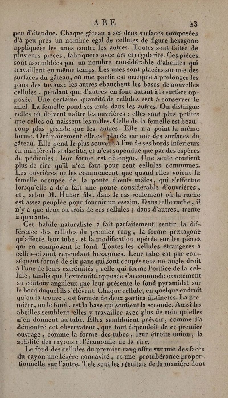 ABE »3 peu d’étendue. Chaque gâteau a ses deux surfaces composées d’à peu près un nombre égal de cellules de figure hexagone appliquées les unes contre les autres. Toutes sont.faités de. plusieurs pièces, fabriquées avec art et régularité. Ces pièces sont assemblées par un nombre considérable d’abeilles qui travaillent en même temps. Les unes sont placées sur une des surfaces du gâteau, où une partie est occupée à prolonger les pans des tuyaux; les autres ébauchent les bases de nouvelles cellules , pendant que d’autres en font autant à la surface op- posée. Une certaine quantité de cellules sert à conserver le miel. La femelle pond ses œufs dans les autres, On distingue celles où doivent naître les ouvrières : elles sont plus petites ” que celles où naissent les mâles. Celle de la femelle est beau- coup plus grande que les autres. Elle n’a point la même forme. Ordinairement elle est” pycée sur une des surfaces du gâteau. Elle pend le-plus souvent à l’un de ses bords inférieurs en manière de stalactite, et n’est supendue que par des espèces de pédicules : leur forme est oblongue. Une seule contient plus de cire qu'il n’en faut pour cent cellules communes. Les ouvrières ne les commencent que quand elles voient la femelle occupée de la ponte d'œufs mâles, qui s’effectue lorsqu'elle a déjà fait une ponte considérable d’ouvrières , et, selon M. Huber fils, dans le cas seulement où la ruche est assez peuplée pour fournir un essaim. Dans telle ruche , il n’y a que deux ou trois de ces cellules ; dans d’autres, trente à quarante. Cet habile naturaliste. a fait parfaitement sentir la dif- férence des cellules du premier rang, la forme pentagone qu’affecte leur tube, et la modification opérée sur les pièces qui en eomposent le fond. Toutes les cellules étrangères à celles-ci sont cependant hexagones. Leur tube est par con- séquent formé de six pans qui sont coupés sous un angle droit à l’une de leurs extrémités , celle qui forme l’orifice de la cel- lule , tandis que l’extrémité opposée s’accommode exactément au contour anguleux que leur présente le fond pyramidal sur le bord duquelils s'élèvent. Chaque cellule, en quelque-endroit qu’onla irouve , est formée de deux parties distinctes. La pre- mière, ou le fond , est la base qui soutient la seconde. Aussi les abeilles semblent<elles y travailler avec plus de soin qu’elles n’en donnent au tube, Êlles sembloient prévoir, comme: l'a démontré cet observateur , que tout dépendoit de ce premier ouvrage , comme la forme des:iubes, leur étroite union, la solidité des rayons et l’économie de la cire. Le fond des cellules du premier rang offre sur une des faces du rayon une légère concavité , et-une protubérance propor- üonnelle sur l’autre. Tels sont les résultats de la manière dont