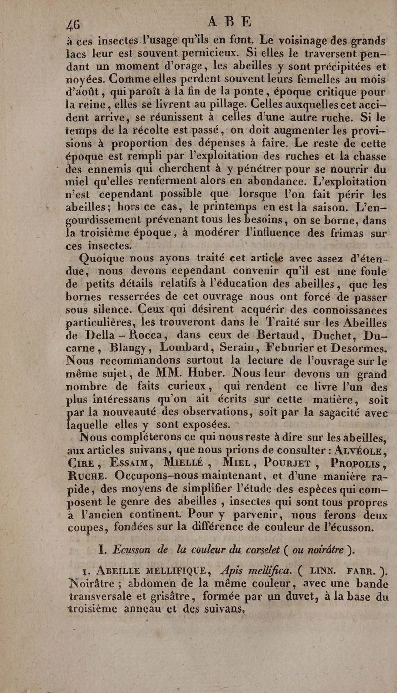 à ces insectes l’usage qu'ils en font. Le voisinage des grands lacs leur est souvent pernicieux. Si elles le traversent pen- dant un moment d'orage, les abeilles y sont précipitées et noyées. Cornme elles perdent souvent leurs femelles au mois d'août, qui paroît à la fin de la ponte , époque critique pour la reine , elles se livrent au pillage. Celles auxquelles cet acci- dent arrive, se réunissent à celles d’une autre ruche. Si le temps de la récolte est passé, on doit augmenter les provi-- sions à proportion des dépenses à faire. Le reste de cette époque est rempli par l'exploitation des ruches et la chasse - des ennemis qui cherchent à y pénétrer pour se nourrir du miel qu’elles renferment alors en abondance. L'exploitation n’est cependant possible que lorsque l’on fait périr les abeilles; hors ce cas, le printemps en est la saison. L’en- gourdissement prévenant tous les besoins, on se borne, dans la troisième époque, à modérer l'influence des frimas sur ces insectes. Quoique nous ayons traité cet article avec assez d’éten- due, nous devons cependant convenir qu'il est une foule de petits détails relatifs à l'éducation des abeilles, que les bornes resserrées de cet ouvrage nous ont forcé de passer sous silence. Ceux qui désirent acquérir des connoissances particulières, les trouveront dans le Traité sur les Abeilles de Della - Rocca, dans ceux de Bertaud, Duchet, Du- carne, Blangy, Lombard, Serain, Feburier et Desormes. Nous recommandons surtout la lecture de l’ouvrage sur le même sujet, de MM. Huber. Nous leur devons un grand nombre de faits curieux, qui rendent ce livre l’un des plus intéressans qu’on ait écrits sur cette matière, soit par la nouveauté des observations, soit par la sagacité avec laquelle elles y sont exposées. - | Nous compléterons ce qui nous reste à dire sur les abeilles, aux articles suivans, que nous prions de consulter : ALVÉOLE, CRE, Essaim, Miezré , Miez, Pourser , Proporis, Ruce. Occupons-nous maintenant, et d’une manière ra- pide, des moyens de simplifier l’étude des espèces qui com- posent le genre des abeilles , insectes qui sont tous propres a l’ancien continent. Pour y parvenir, nous ferons deux coupes, fondées sur la différence de couleur de l’écusson. I. Ecusson de la couleur du corselet ( ou notrâtre ). 1. ABEILLE MELLIFIQUE, Apis mellifica. ( LINN. FABR. ) Noirâtre ; abdomen de la même couleur, avec une bande transversale et grisâtre, formée par un duvet, à la base du troisième anneau et des suivans,