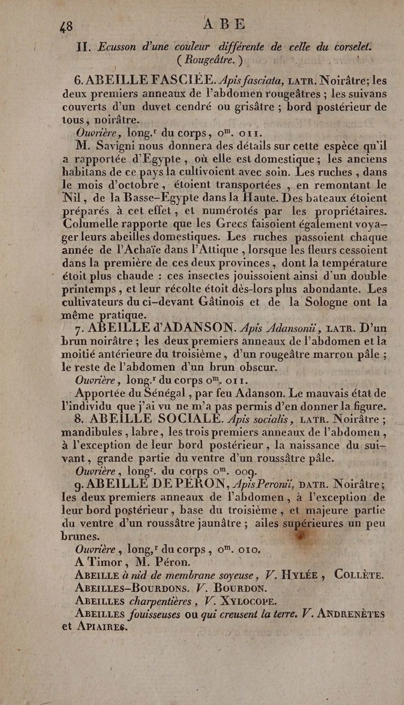 II. Ecusson d’une couleur différente de celle du corselet. ( Rougeâtre.) | ù 6. ABEILLE FASCIEE. Aprs fasciata, LATR. Noirâtre; les deux premiers anneaux de l’abdomen rougeâtres ; les suivans couverts d’un duvet cendré ou grisâtre ; bord postérieur de tous, noirâtre. j ‘Ouvrière, long.' du corps, o. ox1. M. Savigni nous donnera des détails sur cette espèce qu'il a rapportée d'Egypte, où elle est domestique; les anciens habitans de ce pays la cultivoient avec soin. Les ruches , dans Je mois d'octobre, étoient transportées , en remontant le Nil, de la Basse-Egypte dans la Haute. Des bateaux étoient préparés. à cet effet, et numérotés par les propriétaires. Columelle rapporte que les Grecs faisoient également voya- ger leurs abeilles domestiques. Les ruches passoient chaque année de l’Achaïe dans l’Aitique , lorsque les fleurs cessoient dans la première de ces deux provinces, dont la température étoit plus chaude : ces insectes jouissoient ainsi d'un double printemps , et leur récolte étoit dès-lors plus abondante. Les cultivateurs du ci-devant Gâtinois et de la Sologne ont la même pratique. 7. ABEILLE d'ADANSON. Apis Adansoni , LATR. D’un brun noirâtre ; les deux premiers anneaux de l’abdomen et la moitié antérieure du troisième, d’un rougeâtre marron pâle ; le reste de l'abdomen d’un brun obscur. Ouvrière , long. du corps o. or1. Apportée du Sénégal , par feu Adanson. Le mauvais état de l'individu que j'ai vu ne m'a pas permis d’en donner la figure. 8. ABEILLE SOCIALE. Apis socialis, LATR. Noirâtre ; mandibules , labre, les trois premiers anneaux de l'abdomen, à l'exception de leur bord postérieur , la naissance du: sui- vant, grande partie du ventre d’un roussâtre pâle. Ouvrière , long'. du corps o. 0og. 9. ABEILLE DE PERON, Aprs Peroni, DATR. Noirâtre; les deux premiers anneaux de l'abdomen, à l’excepüion de leur bord postérieur , base du troisième , et majeure partie du ventre d’un roussâtre jaunâtre ; ailes supé brunes. : Ouvrière , long, du corps, o. o10. id A Timor, M. Péron. | ABEILLE à nid de membrane soyeuse, V. HYLÉE , COLLÈTE. ABEILLES-BOURDONS. W. BourDon. | ABEILLES charpentières , V. XYLOCOE. ABEILLES fouisseuses ou qui creusent la terre. V. ANDRENÈTES et APIAIRES.