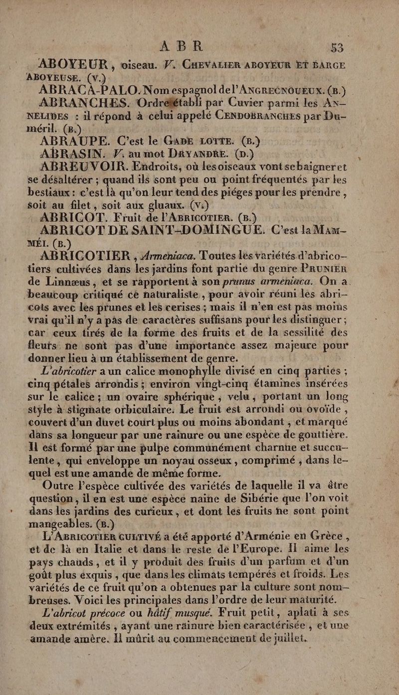 ABOYEUR , oiseau. PV. CHEVALIER ABOYEUR ET BARGE ABOYEUSE. (v.) | ABRACA-PALO.Nom espagnol del’ANGRECNOUEUX.(8.) | ABRANCHES. Ordréétabli par Cuvier parmi les AN— NELIDES : il répond à celui appelé CENDOBRANGHES par Du- méril. (8). ABRAUPE. C'est le GADE LOTTE. (8.) ABRASIN. P. au mot DRYANDRE. (D.) ABREU VOIR. Endroits, où lesoiseaux vontsebaigneret se désaltérer ; quand ils sont peu ou paint fréquentés par kes bestiaux : c’est là qu’on leur tend des piéges pour des prendre, soit au filet, soit aux gluaux. (vi) ABRICOT. Fruit de l'ABRICOTIER. (B.) ABRICOT DE SAINT-DOMINGUE,. C’est la Mam- MÉL. (8. ABRICOTIER , Armeniaca. Toutes les variétés d’abrico— tiers cultivées dans les jardins font partie du genre PRUNIER de Linnæus , et se rapportent à son prunus armeniaca. On à. beaucoup critiqué cé naturaliste , pour avoir réuni les äbri- cois avec les prunes et leë cerises ; mais il n’en est pas moins vrai qu’il n’y a pas de caractères suffisans pour les distinguer ; car ceux tirés de la forme des fruits et de la sessilité des fleuts ne sont pas d'une importance assez majeure pour donner lieu à un établissement de genre. L'abricotier a un calice monophylle divisé en cimq partés ; cinq pétales arrondis ; environ vingt-cinq étamines insérées sur le calice ; un ovaire sphérique ; velu ; portant un long style à stigrate orbiculaire. Le fruit est arrondi ou ovoïde , couvert d’un duvet court plus où moins abondant ; et marqué dans sa longueur par une rainure ou une espèce de gouttière. IL est formé par une pulpe communément charnue et succu— lente, qui enveloppe un noyau osseux , comprimé , dans le- quel est une amande de même forme. | Outre Pespèce cultivée des variétés de laquelle il va être question , il en est une espècé naine de Sibérie que l’on voit dans les jardins des curieux, et dont les fruits he sont point mangeables. (8.) L’ABRICOTIER GULTIVÉ a été apporté d'Arménie en Grèce , ét de là en Italie et dans le reste dé l'Europe. fl aime les pays chauds, et il y produit des fruits d’un parfüm et d’un goût plus éxquis , que dans les climats tempérés et froids. Les variétés de ce fruit qu’on a obtenues par la culture sont nom- breuses. Voici les principales dans l’ordre de leur maturité. L'abricot précace ou hätif musque. Wruit petit, aplati à ses deux extrémités , ayant une räinure bien caractérisée , et une amande amère. 11 mûrit au commencement de juillet,