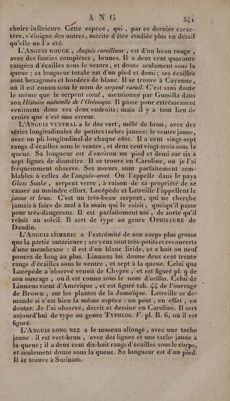ANG | 54x choire inférieure. Cétté espèce, qui, par ce dernier carac- tère, s'éloigne des autres, mérite d’être étudiée plus en détail qu'elle ne l’a été. L'ANGUIS ROUGE , Anguis corallinus , est d’un beau rouge , avec des fascies complètes , brunes. Îl a deux cent quarante rangées d'écailles sous le ventre, et douze seulement sous la queue ; sa longueur totale est d’un pied et demi; ses écailles sont. hexagones et bordées de blanc. Îl se trouve à Cayenne, où il est connu sous le nom de serpent corail. C’est sans doute le même que le serpent coral , mentionné par Gumilla dans son Histoire naturelle de l’'Orénoque. K passe pour extrêmement venimeux dans ces deux endroits; mais il y a tout lieu de croire que c’est une erreur. qe | | L'ANGUIS VENTRAL a le dos vert, mêlé de brun, avec des ” séries longitudinales de petitestaches jaunes; le ventre jaune, avec un pli longitudinal de chaque côté. [l'a cent vingt-sept rangs d'écailles sous Le ventre , et deux cent vingtrois sous la queue. Sa longueur est d'environ un pied et demi sur six à sept lignes de diamètre. A1 se trouve en Caroline, où je l’ai fréquemment observé. Ses mœurs sont parfaïiement sem- blables à celles de l’anguis-orvet. On l'appelle dans le pays Glass Snake | serpent verre , à raison de sa propriété de se casser au moindre effort. Lacépède et Latreiïlle l’appellent le jaune et brun. C’est un très-beau serpent, qui ne cherche jamais à faire de mal à la main qui le saisit, quoiqu'il passe pour très-dangereux. 1 est parfaitement uni, de sorte qu'il reluit au soleil. fl sert de 1yÿpe au genre OPHRISAURE de Daudin. L’Axcuis LoMBRIC a l'extrémité de son corps plus grosse que la partie antérieure ; ses‘ÿYeux sontirès-petits et recouverts d’une membrane : il est d’un blanc livide, et a huit ou nenf pouces de long au plus. Linnæus lui donne deux cent trente rangs d'écailles sous le ventre , et sept à la queue. Celui que Lacépède a observé venoit de Chypre , et est figuré nee 9 de son ouvrage , oùil est connu sous le nom d'arillos. Celui de Linnæus vient d'Amérique , et est figuré tab. 44 de l'ouvrage de Brown , sur les plantes de la Jamaïque. Latreille se de- mande si c’est bien la même espèce : on peut , en effet , en douter. Je l’ai observé, décrit et dessiné en Caroline. Il sert aujourd’hui de type au genre FvrxLros. F. pl. B. 6, où il est figuré. L'ANGuIs LONG NEZ a le museau allongé , avec une tache jaune : il est vert-brun , avec des lignes et une tache jaune à la queue ; il a deux cent dix-huit rangs d’écailles sous le corps, et seulement douze sous la queue. $a longueur est d’un pied. 1] $e trouve à Surinam. D: