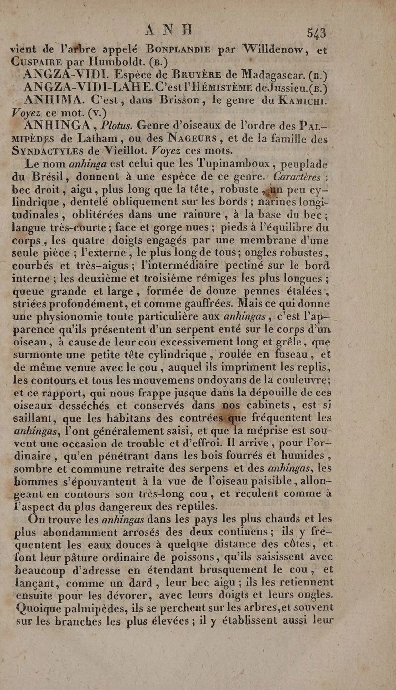 vient de l’afbre appelé BoNPLANDIE par Willdenow, et CusPAIRE par Humboldt. (8.) . ANGZA-VIDI. Espèce de BRUYÈRE de Madagascar. (8.) ANGZA-VIDI-LAHE. C'est l'HÉMISTÈME deJussieu.(8.) : ANHIMA. C'est, dans Brisson, le genre du Kamicui. Voyez ce mot. (v.) 7. _ ANHINGA , Plotus. Genre d’oiseaux de l’ordre des Par - MIpÈpes de Latham, ou des NAGEURS , et de la famille des SYNDACTYLES de Vieillot. Voyez ces mots. dat à Le nom anhinga est celui que Les Tupinamboux, peuplade du Brésil, donnent à une espèce de ce genre. Caractères : bec droit, aigu , plus long que la tête, robuste gun peu cy- lindrique , dentelé obliquement sur les bords ; narines longi- tudinales , oblitérées dans une rainure , à la base du bec :; langue très-rourte ; face et gorge nues ; pieds à l'équilibre du corps, les quatre doigts engagés par une membrane d’une seule pièce ; l’externe ; le plus long de tous; ongles robustes, courbés et très-aigus ; l'intermédiaire pectiné sur le bord interne ; les deuxième et troisième rémiges les plus longues ; queue grande et large, formée de douze pennes étalées’, siriées profondément, et comme gauffrées. Mais ce qui donne une physionomie toute particulière aux anhingas, c’est l’ap— parence qu’ils présentent d’un serpent enté sur le corps d’un oiseau , à cause de leur cou excessivement long et grêle, que surmonte une petite tête cylindrique , roulée en fnseau, et de même venue avec le cou , auquel ils impriment les replis, les contourset tous Les mouvemens ondoyans de la couleuvre; et ce rapport, qui nous frappe jusque dans la dépouille de ces oiseaux desséchés et conservés dans mos cabinets, est si saillant, que les habitans des contréesque fréquentent les anhingas, l'ont généralement saisi, et que la méprise est sou- vent une occasion de trouble et d’effroi. Il arrive , pour l’or- dinaire , qu'en pénétrant dans les bois fourrés ét humides , sombre et commune retraite des serpens et des anhingas, les hommes s’épouvantent à la vue de l'oiseau paisible, allon- geant en contours son très-long cou, et reculent comme à l'aspect du plus dangereux des reptiles. On trouve les anhingas dans les pays les plus chauds et les plus abondamment arrosés des deux continens; ils y fre- quentent les eaux douces à quelque distance des côtes, et font leur pâture ordinaire de poissons, qu'ils saisissent avec beaucoup d'adresse en étendant brusquement le cou, et Jançäant, comme un dard , leur bec aïgu ; ils les retiennent ensuite pour les dévorer, avec leurs doigts et leurs ongles. Quoique palmipèdes, ils se perchent sur les arbres,et souvent sur les branches les plus élevées ; il y établissent aussi leur