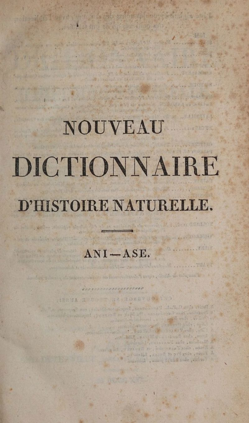 N OUVEAU * DICTIONNAIRE D'HISTOIRE NATURELLE. | ANI—ASE.