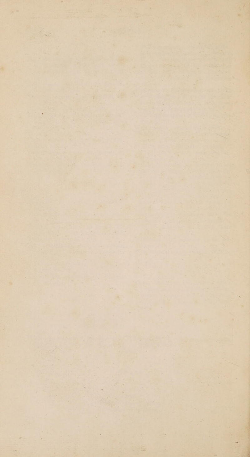 gaa we eee GA oe Se ree ~) “hed rt, tre a a sofa eh Sy, eae SS / eee Sali, = ee u Phils,