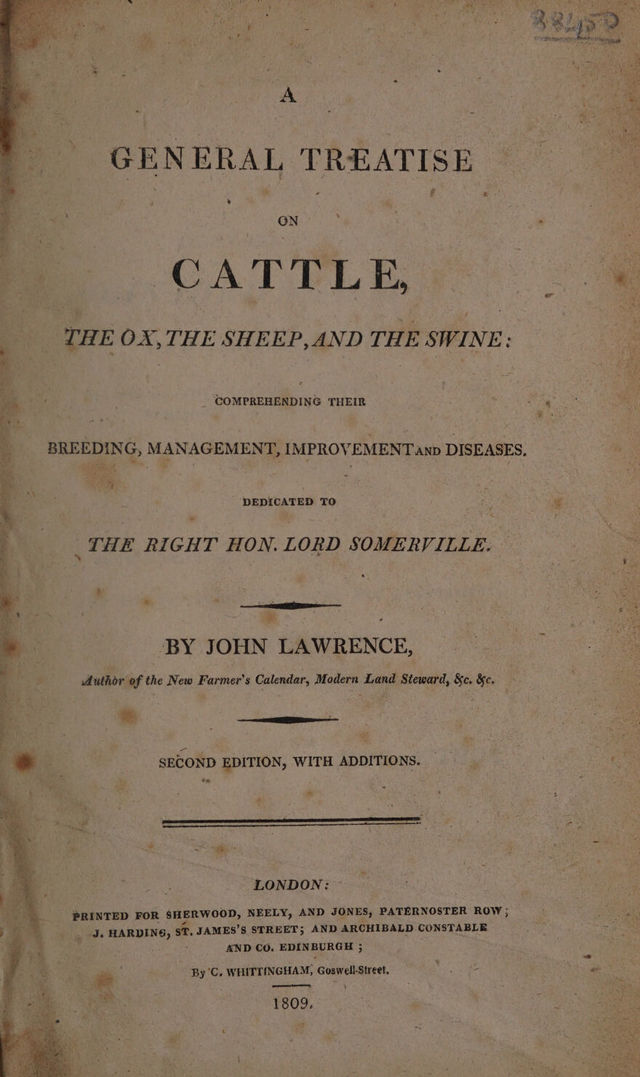 digitised image 3