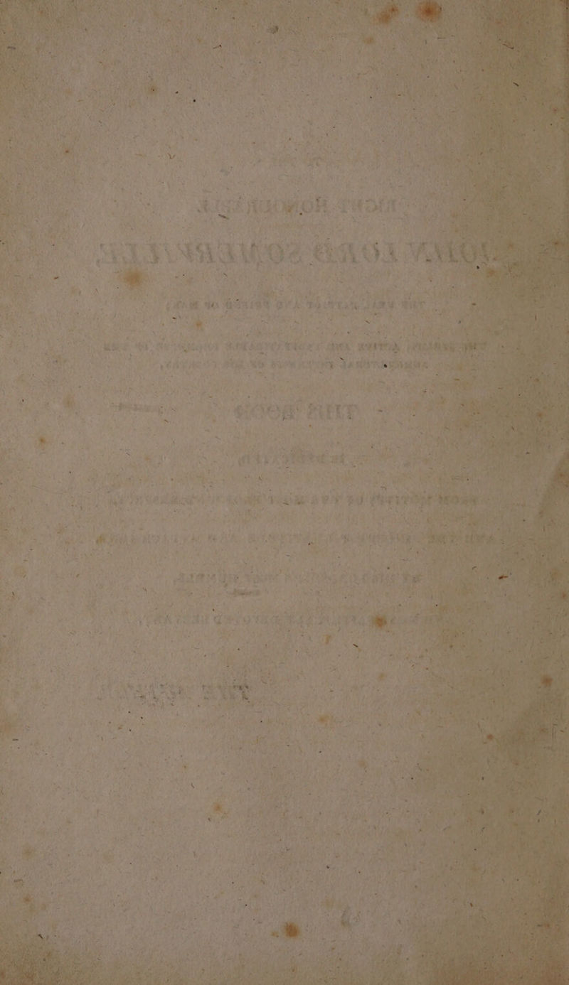 hie te ah tex pelan ye hb) 5 ty - SR | ee Mi Oe TN 3 CRA Tt. Oe 4 La! Ces 8 a oe. ea