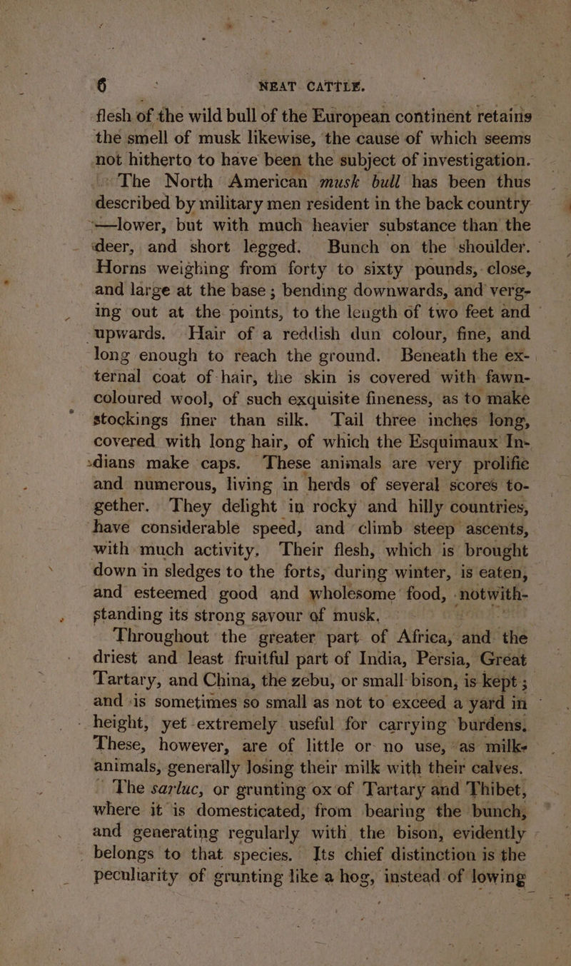 flesh of the wild bull of the European continent retains the smell of musk likewise, the cause of which seems not hitherto to have been the subject of investigation. ~The North American musk bull has been thus Bescriiea by military men resident in the back country “—lower, but with much heavier substance than the deer, and short legged. Bunch on the shoulder. Horns weighing from forty to sixty pounds, close, and large at the base ; bending downwards, and verg- ing out at the points to the length of two feet and ~ -upwards, Hair of a reddish dun colour, fine, and long enough to reach the ground. Beneath the ex-. | ceinal coat of hair, the skin is covered with fawn- coloured wool, of such exquisite fineness, as to make stockings iter than silk. Tail three inches long, covered with long hair, of which the Esquimaux In- sdians make caps. These animals are very prolific and numerous, living in ‘herds of several scores to- gether. They delight in rocky and hilly countries, have considerable speed, and climb steep” ascents, with much activity. Their flesh, which is brought down in sledges to the forts, during winter, is eaten, and esteemed good and wholesome food, notwith- standing its strong savour of musk, | . Throughout the greater part of Africa, ahd! ‘the driest and least fruitful part of India, Persia, Great Tartary, and China, the zebu, or small: bison, is. kept ; and ‘is sometimes so small as not to exceed a yard i in - height, yet - extremely useful for carrying ‘burdens, These, however, are of little or no use, “as milke animals, generally losing their milk with their calves. - The sarluc, or grunting ox of Tartary and Thibet, where it is domesticated, from bearing the bunch, and generating regularly with the bison, evidently _ belongs to that species. Its chief distinction is the peculiarity of grunting like a hog, instead of lowing