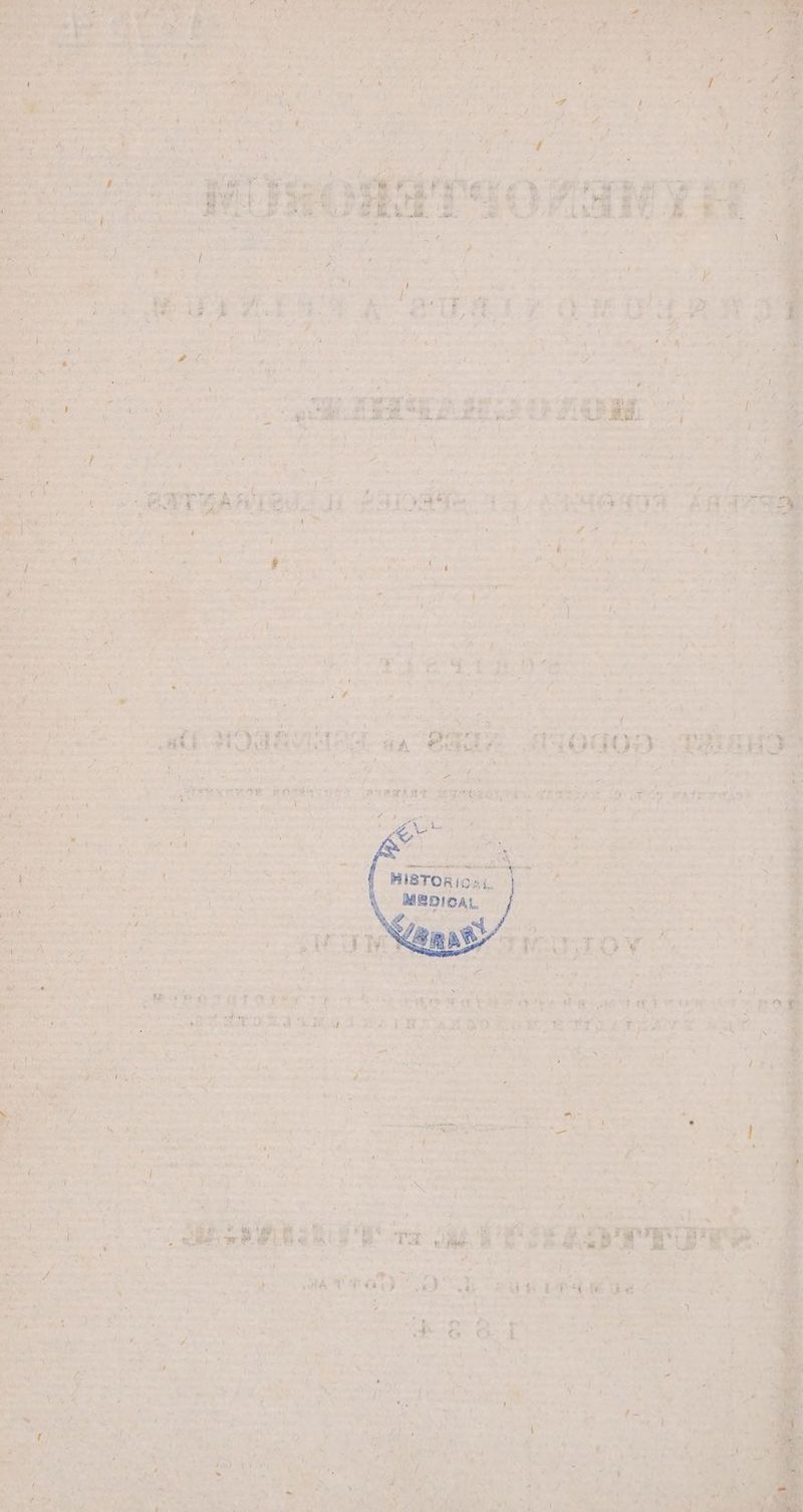 x - e M Eius &amp; i UNS aat Tees cus xs n - 1 u * E, rati: