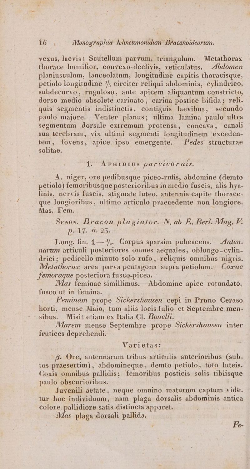 vexus, laevis; Scutellum parvum, triangulum. — Metathorax thorace humilior, convexo-declivis, reticulatus. |.4bdomen planiusculum, lanceolatum, longitudine capitis thoracisque, petiolo longitudine 7 circiter reliqui abdominis, cylindrico, subdecurvo, ruguloso, ante apicem aliquantum constricto, dorso medio obsolete carinato, carina postice bifida; reli. quis segmentis indistinctis, contiguis laevibus, sdilundo paulo majore. Venter planus; ultima lamina paulo ultra segmentum dorsale extremum protensa, concava, canali sua terebram, vix ultimi segmenti longitudinem exceden- tem, fovens, apice, ipso emergente. Pedes structurae solitae. 1. A»PuinriUs parcicornis. À. niger, ore pedibusque piceo-rufis, abdomine (demto petiolo) femoribusque posterioribus in medio fuscis, alis hya- linis, nervis fuscis, stigmate luteo, antennis capite thorace- que longioribus, Metu articulo praecedente non longiore. Mas. Fem. SrNox. M und. as doton: N. ab E. ert Mag. F. pe. Long. lin. mx. Corpus sparsim pubescens. fnten- narum articuli posteriores omnes aequales, oblongo. cylin- drici; pedicello minuto solo rufo, reliquis omnibus nigris. IMetathorax area parva pentagona supra petiolum. Coxae femoraque posteriora fusco-picea. - ÍMas feminae simillimus. . Abdomine apice rotundato, fusco ut in femina. Feminam prope Sickershausen cepi in Pruno Ceraso horti, mense Maio, tum aliis locisJulio et Septembre men- sibus. Misit etiam ex Italia Cl. Bonelli. IMarem mense Septembre prope Sichershausen inter frutices deprehendi. Varietas: - B- Ore, antennarum tribus articulis anterioribus (sub. tus praesertim), abdomineque. demto petiolo, toto luteis. Coxis omnibus pallidis; femoribus posticis solis tibiisque paulo obscurioribus. Juvenili aetate, neque omnino maturum captum vide- tur hoc individuum, nam plaga dorsalis abdominis antica colore. pallidiore satis distincta apparet. 4Mas plaga dorsali pallida. Fe-