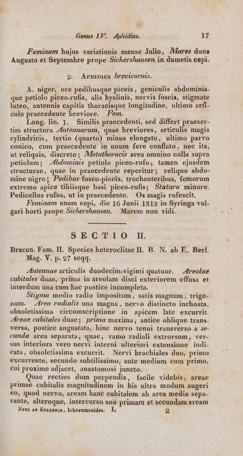 Feminam hujus variationis mense Julio, Mares duos Augusto et Septembre prope Sickershausen in dumetis cepi. Li 9. APrniDius ÓDrevicornis. A. niger, ore pedibusque piceis, geniculis abdominis- que petiolo piceo-rufis, alis hyalinis, nervis fuscis, stigmate luteo, antennis capitis thoracisque longitudine, ultimo arti- eulo praecedente breviore. Fer. : Long. lin. 1. Similis praecedenti, sed differt praeser- tim structura Zfntennarum, quae breviores, articulis magis cylindricis, tertio (quarto) minus elongato, ultimo parvo conico, cum praecedente in unum fere conflato, nec ita, ut reliquis, discreto; /Vletathoracis area omnino nulla supra petiolum; .4bdominis petiolo piceo-rufo4 tamen ejusdem structurae, quae in praecedente reperitur; reliquo abdo- mine nigro; JPedibus fusco-piceis, trochanteribus, femorum extremo apice tibiisque basi piceo-rufis; Sfatura minore. Pedicellus rufus, ut in praecedente. Os magis rufescit, Feminam unam cepi, die 16 Junii 1812 in Syringa vul- gari horti prope Sickershausen. Marem non vidi. SEGQCTCIO HN. Bracon, Fam. II. Species heteroclitae Il. B. N. ab E, Berl. Mag. V. p. 27 seqq. Zintennae articulis duodecim-viginti quatuor. | 4reolae cubitales duae, prima in areolam disci exteriorem effusa et interdum una cum hac postice incompleta. Stigma medio radio impositum, satis magnum, trigo- num. rea radialis una magna , nervo distincto inchoata, obsoletissima circumscriptione in apicem late excurrit. reae cubitales duae; prima maxima, antice oblique trans- versa, postice angustata, hinc nervo tenui transverso a se- cunda area separata, quae, ramo radiali extrorsum, ver- sus interiora vero nervi interni ulteriori extensione indi. cata, obsoletissima excurrit. Nervi brachiales duo, primo excurrente, secundo subtilissimo, ante medium cum primo, cui proxime adjacet, anastomosi juncto. Oba dfe uae rectius dum perpendis, facile videbis, areae primae cubitalis magnitudinem in his ultra modum augeri eo, quod nervo, aream hanc cubitalem ab area media sepa- rante, alteroque, intercursu suo primam et secundam aream N»zs Am EsgmsRck, Ichneumonides, jJ. B