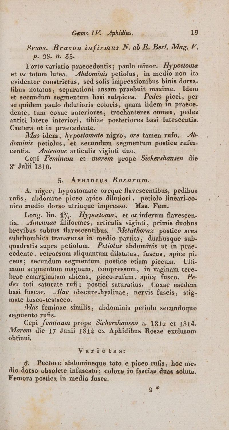 Srwov. Bracon infirmus N. ab E. Berl. Mag. V. p. 28. n. Sb. Forte variatio praecedentis; paulo minor. Hypostoma et os totum lutea. fbdominis petiolus, in medio non ita evidenter constrictus, sed solis impressionibus binis dorsa- libus notatus, separationi ansam praebuit maxime. ldem et secundum segmentum basi subpicea. Pedes picei, per se quidem paulo delutioris coloris, quam iidem in praece- dente, tum coxae anteriores, trochanteres omnes, pedes antici latere interiori, tibiae posteriores basi lutescentia. Caetera ut in praecedente. 7MMas idem, hypostomate nigro, ore tamen rufo. 4b- dominis petiolus, et secundum segmentum postice rufes. centia. ntennae articulis viginti duo. | Cepi Feminam et marem prope Sickershausen die 8? Julii 1810. : 5. Arpnuipnrius Aosarum. . À. niger, hypostomate oreque flavescentibus, pedibus rufis, abdomine piceo apice dilutiori, petiolo lineari-co- nico medio dorso utrinque impresso. Mas. Fem. Long. lin. 14. Hypostoma, et os inferum flavescen- tia. ntennae filiformes, articulis viginti, primis duobus brevibus subtus flavescentibus. /Metathorax postice area subrhombica transversa in medio partita, duabusque sub- quadratis supra petiolum. Petiolus abdominis ut in prae- cedente, retrorsum aliquantum dilatatus, fuscus, apice pi- ceus; secundum segmentum. postice etiam piceum. Ulti- mum segmentum magnum, compressum, in vaginam tere- brae emarginatam abiens, piceo-rufum, apice fusco. Pe- des toti saturate rufi; postici saturatius. Coxae eaedem basi fuscae. í/ae obscure-hyalinae, nervis fuscis, stig- mate fusco-testaceo. Mas feminae similis, abdominis petiolo secundoque segmento rufis. | : Cepi feminam prope Sickershausen a. 1819 et 1814. b die 17 Junii 1814 ex Aphidibus Rosae exclusum obtinui. Varietas: . f&amp; Pectore abdomineque toto e piceo rufis, hoc me- dio dorso obsolete infuscato; colore in fascias duas soluta. Femora postica in medio fusca. gm