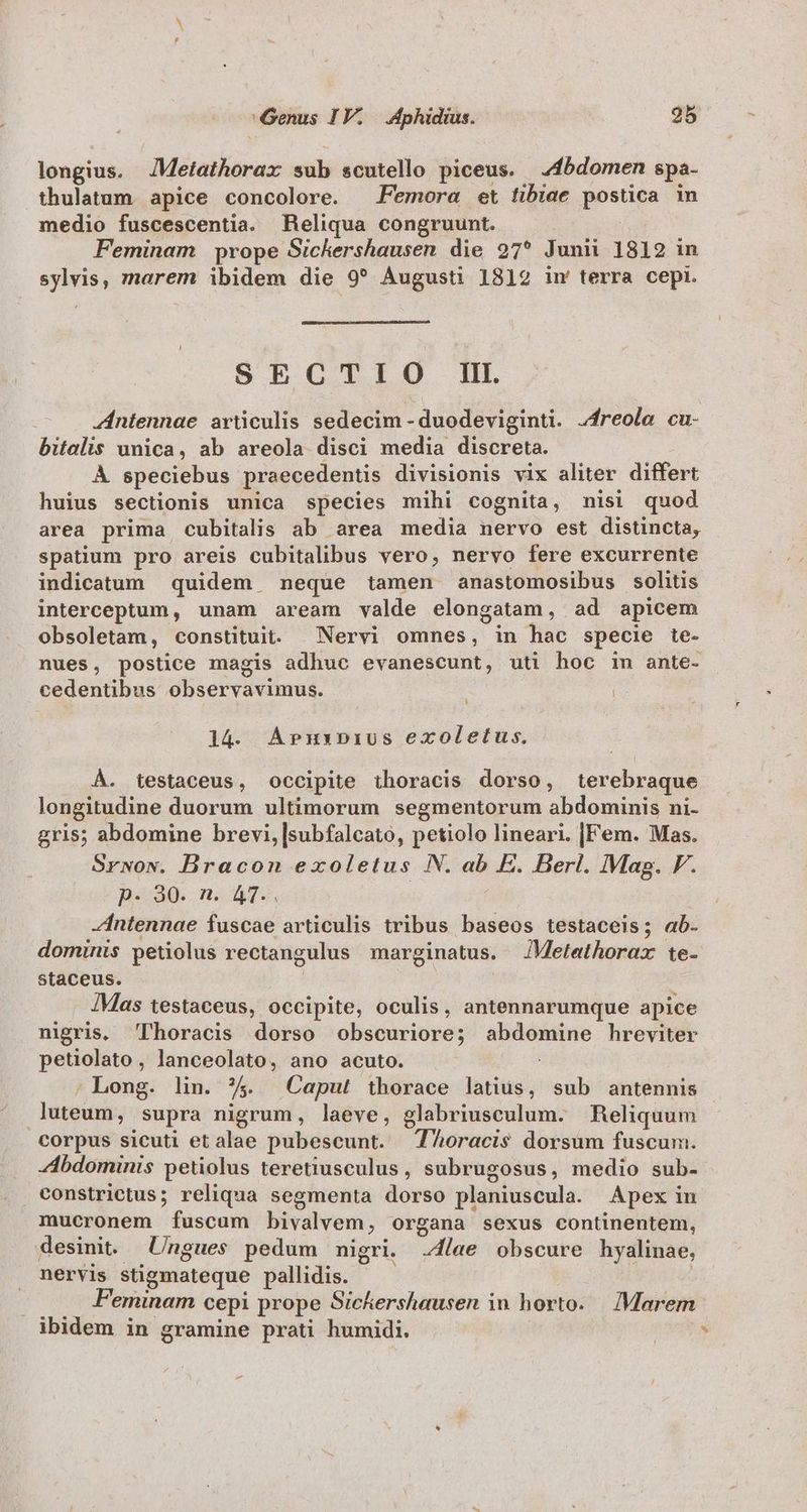 longius. JMetathorax sub scutello piceus. —4fbdomen spa- thulatum. apice concolore. | Femora et tibiae poetige in medio fuscescentia. Reliqua congruunt. Feminam | prope Sickershausen die 27* Junii 1812 in sylvis, marem ibidem die 9* Augusti 1812 in terra cepi. SECTIO IL Antennae arüculis sedecim -duodeviginti. Jreola cu- bitalis unica, ab areola disci media discreta. À speciebus praecedentis divisionis vix aliter differt huius sectionis unica species mihi cognita, nisi quod area prima cubitalis ab area media nervo est distincta, spatium pro areis cubitalibus vero, nervo fere excurrente indicatum quidem neque tamen anastomosibus solitis interceptum , unam aream valde elongatam, ad apicem obsoletam, constituit. Nervi omnes, in hac specie te- nues, postice magis adhuc evanescunt, uti hoc im ante- cedentibus observavimus. i Li 14. A»rnzuxnpius exoletus. À. testaceus, Ooccipite thoracis dorso, terebraque longitudine duorum ultimorum segmentorum abdominis ni- gris; abdomine brevi, |subfalcato, petiolo lineari. [Fem. Mas. 8Srwow. Bracon exoletus N. vu d Berl. Mag. V. p. 30. n. 47... Zntennae fuscae articulis tribus baseos testaceis; ab- dominis petiolus rectangulus marginatus. JMetathorax te- staceus. IMas testaceus, occipite, oculis, antennarumque apice nigris. 'lhoracis dorso obscuriore; cami ai hreviter petiolato, lanceolato, ano acuto. ; Long. lin. ?5. Caput thorace latius, sub antennis luteum, supra nigrum, laeve, glabriusculum. Reliquum corpus sicuti et alae pubescunt. T^oracis dorsum fuscum. dbdominis petiolus teretiusculus , subrugosus, medio sub- constrictus; reliqua segmenta dorso planiuscula. Apex i in mucronem fuscum bivalvem, organa sexus continentem, desinit. Ungues pedum nigri. .4/ae obscure hyalinae, nervis stigmateque pallidis. Feminam cepi prope Sichershausen in horto. |. /Marem ibidem in gramine prati humidi.