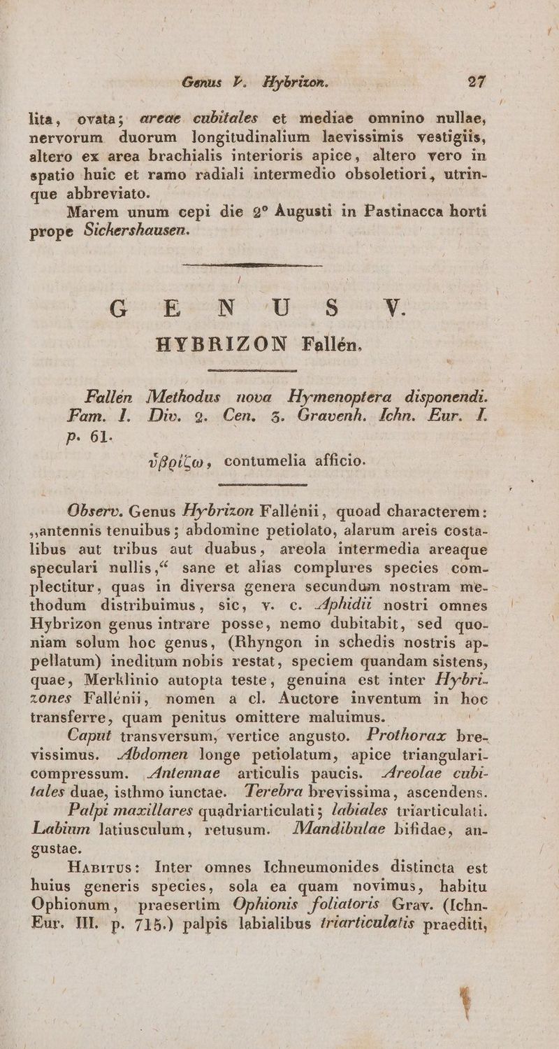 lita, ovata; ereae cubitales et mediae omnino nullae, nervorum duorum longitudinalium laevissimis vestigiis, altero ex area brachialis interioris apice, altero vero in spatio huic et ramo radiali intermedio obsoletiori, utrin- que abbreviato. i | Marem unum cepi die 2? Àugusti in Pastinacca horti prope Sichershousen. GR N OM. US ose HYBRIZON Fallén. Fallen Methodus nova | Hymenoptera | disponendi. Fam. I]. Div. 9. Cen. 8$. Gravenh. lchn. Eur. [. p. 61. | vfoiGo, contumelia afficio. Observ. Genus Hybrizon Fallénii, quoad characterem: ,antennis tenuibus ; abdomine petiolato, alarum areis costa- libus aut tribus aut duabus, areola intermedia areaque speculari nullis, 4 sane et alias complures species com- plectitur, quas in diversa genera secundum nostram me. thodum distribuimus, sic, v. c. -4phidii nostri omnes Hybrizon genus intrare posse, nemo dubitabit, sed quo- niam solum hoc genus, (Hhyngon in schedis nostris ap- pellatum) ineditum nobis restat, speciem quandam sistens, quae, Merklinio autopta teste, genuina est inter Zlybri. zones Fallénii, nomen a cl Auctore inventum in hoc transferre, quam penitus omittere maluimus. TO Caput transversum, vertice angusto. Prothorax bre- vissimus. .bdomen longe petiolatum, apice triangulari- compressum. ntennae articulis paucis. -4reolae cubi- tales duae, isthmo iunctae. Terebra brevissima, ascendens. Palpi maxillares quadriarticulatis Jabiales triarticulati. Labium latiusculum, retusum. — /Mandibulae bifidae, an- gustae. DP. HanrrUs: Inter omnes Ichneumonides distincta est huius generis species, sola ea quam novimus, habitu Ophionum, praesertim Ophionis foliatoris Grav. (Ichn- Eur. HL p. 715.) palpis labialibus friarticuletis praediti,