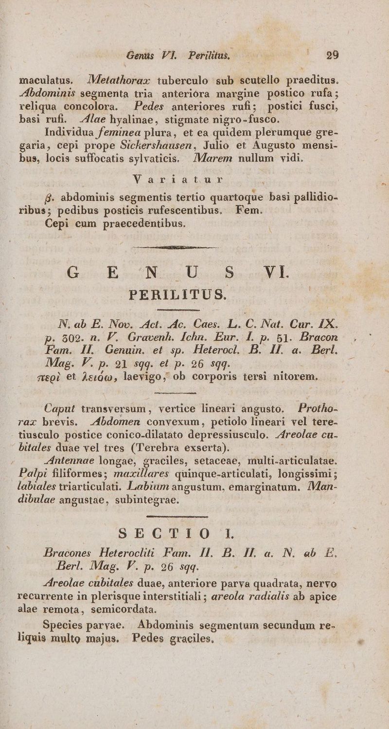 Genus VL. Perilitus, — a. maculatus. JMetathorax tuberculo sub scutello praeditus. bdominis segmenta tria anterióra margine postico rufa; reliqua concolora. Pedes anteriores rufi; postici fusci, basi rufi. /flae hyalinae, stigmate nigro- -Tuscu.. Individua feminea plura, et ea quidem plerumque gre- garia, cepi prope Sichershausen, Julio et Augusto mensi- bus, locis suffocatis sylvaticis. Marem nullum vidi. V ari:123tnr : B. abdominis segmentis tertio quartoque basi pallidio- ribus; pedibus posticis rufescentibus. Fem. Cepi cum praecedentibus. 240 D) UA ACE 18 PERILITUS. IN. ab E. Nov. dct. c. ies L. C. Nat. Cur. 1X. p. 809. n. F. Gravenh. [chn. Eur. [. p. 51. Bracon Fam. iL. Genuin. et sp. Heterocl. B. Il. a. Berl. IMag. P. p. 21 sqq. et p. 26 sqq. csi €t Asi0co, laevigo, ob corporis tersi nitorem, Caput transversum , vertice lineari angusto. —Protho- rar brevis. .4bdomen convexum, petiolo lineari vel tere- tiusculo postice conico-dilatato depressiusculo. ireolae cu- ' bitales duae vel tres ('Terebra exserta). Antennae longae, graciles, setaceae, multi- aPticufdiie: Palpi filiformes; maxillares quinque-articulati, longissimi ; labiales triarticulati. Labium angustum, M iW qas IMan- dibulae angustae, subintegrae. SEbEGTIO Z:Z^. Bracones Heterocliti Fam. 11. B. IL a. N. ab E Berl. Mag. V. p. 96 sqq. Áreolae cübitales duae, anteriore parva quadrata, nervo recurrente in plerisque interstitiali ; areola radialis ab Apiee alae remota, semicordata. Species parvae. Abdominis segmentum secundum re- liquis multo majus. Pedes graciles.