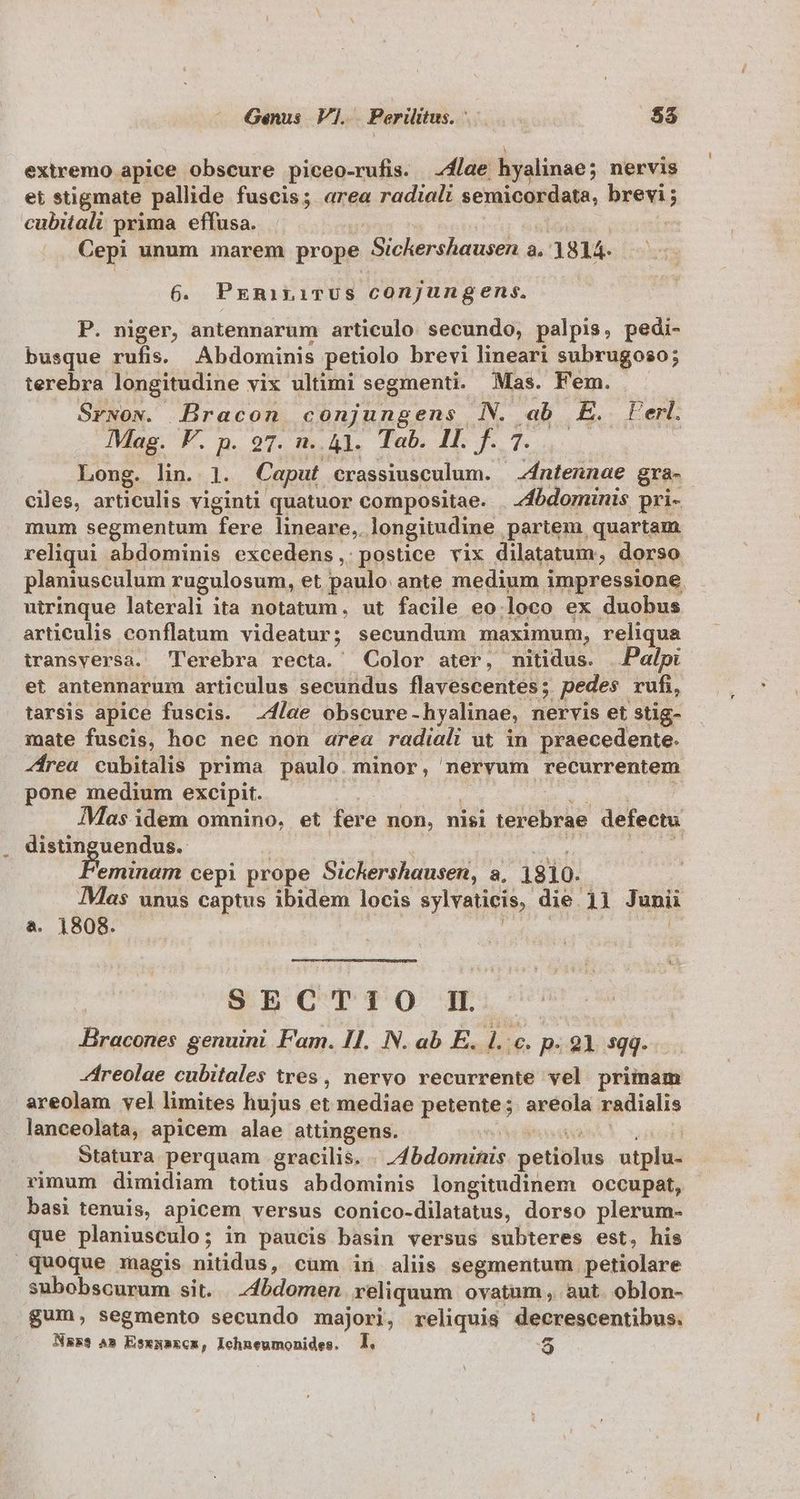 Genus V1. Periltus. ..—. $3 Y extremo apice obscure piceo-rufis. lae hyalinae; nervis et stigmate pallide fuscis; area radiali semicordata, brevi; cubitali prima. effusa. - | moo ! Cepi unum marem prope Sickershausen a. 1814. 6. PxERILiTUS cOnjungens. P. niger, antennarum articulo secundo, palpis, pedi- busque rufis. Abdominis petiolo brevi lineari subrugoso; terebra longitudine vix ultimi segmenti. Mas. Fem. Srwow. DBracon conjungens N. ab E. Perl. Mag. F. p. 97. n..41. Tab. HE S Long. lin. 1. Caput crassiusculum. 4ntennae gra- ciles, articulis viginti quatuor compositae. | 4fbdominis pri- mum segmentum fere lineare, longitudine partem quartam reliqui abdominis excedens, postice vix dilatatum, dorso planiusculum rugulosum, et paulo: ante medium impressione. utrinque laterali ita notatum, ut facile eo.loco ex duobus articulis conflatum videatur; secundum maximum, reliqua transversa. Terebra recta. Color ater, nitidus. Palpi et antennarum articulus secundus flavescentes; pedes rufi, tarsis apice fuscis. lae obscure-hyalinae, nervis et stig- mate fuscis, hoc nec non area radiali ut in praecedente. -Írea cubitalis prima paulo. minor, nervum recurrentem pone medium excipit. Pom T MEIN Mas idem omnino, et fere non, nisi terebrae defectu distinguendus.- | : den * eminam cepi prope Sichershausen, a, 1810. Mas unus captus ibidem locis sylvaticis, die 11 Junii à. 1808. di aste Í X. SECTIO I Bracones genuini Fam. Il. N. ab E. l.c. p- 21 sgg. Zreolae cubitales tres, nervo recurrente vel primam areolam vel limites hujus et mediae petente; areola radialis lanceolata, apicem alae attingens. D ADD MNA Statura perquam gracilis. . 4bdominis. petiolus utplu- rimum dimidiam totius abdominis longitudinem occupat, basi tenuis, apicem versus conico-dilatatus, dorso plerum- que planiusculo; in paucis basin versus subteres est, his quoque magis nitidus, cum in aliis segmentum petiolare subobscurum sit. | z4bdomen reliquum ovatum , aut. oblon- gum, segmento secundo majori, reliquis decrescentibus.