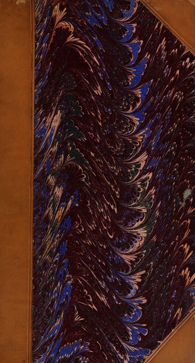 No text description is available for this image