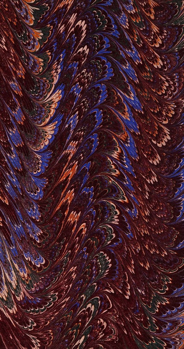 No text description is available for this image