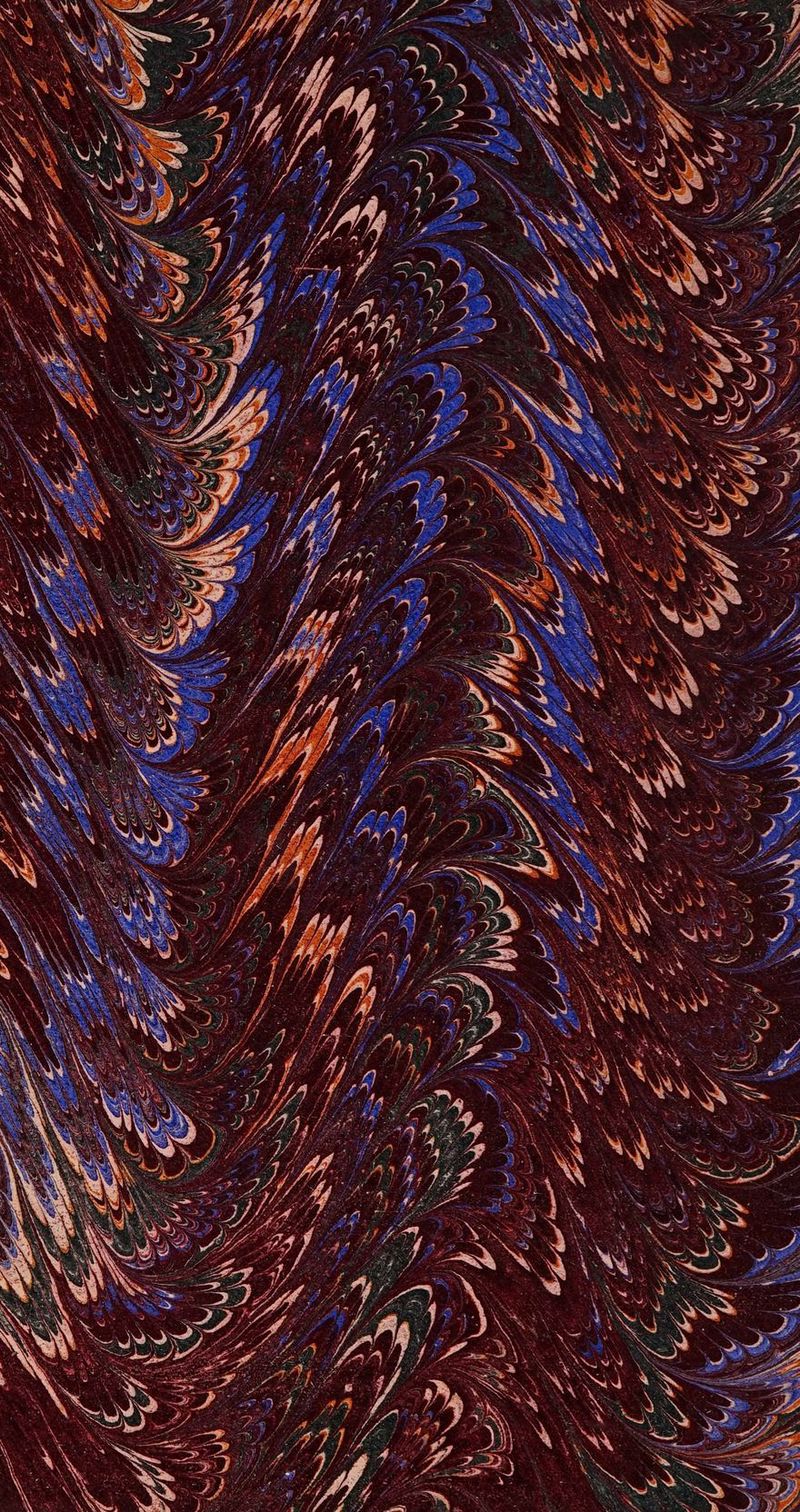 No text description is available for this image