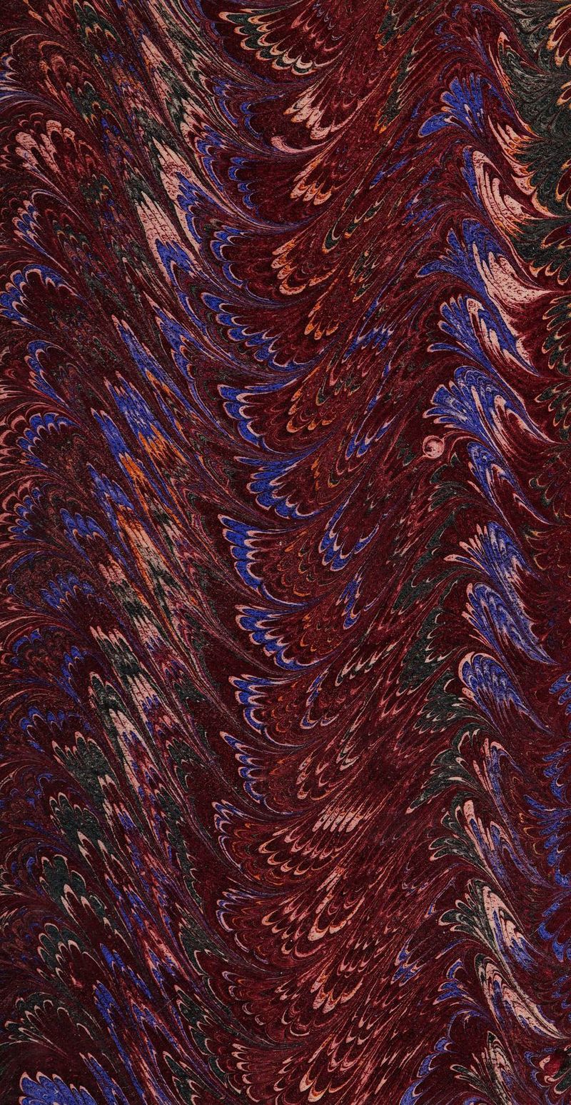 No text description is available for this image