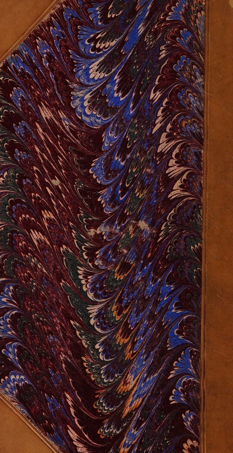 No text description is available for this image