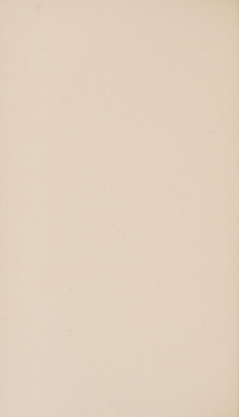 Pat ven 7. vs 7 i aor an oy — J ay fae oe See. 5 ae ae ab iat ny “4 ae . - hal ao as &amp; i ws a = * a hl 1 ‘ fs ‘ r t WE ie ’ . ye 4 “ é 5 ° ‘ 5 2 ‘ ‘ ft i 1  1 i t n ’ i h t ‘ 1 s t > “ » i