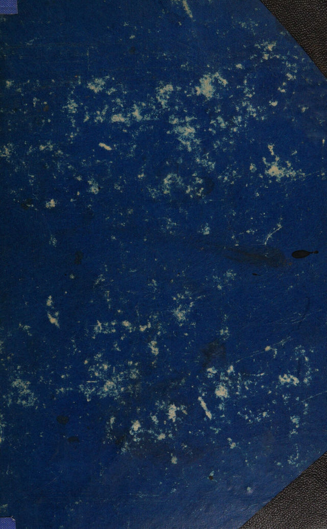 digitised image 1