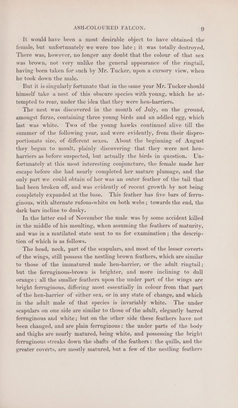 It would have been a most desirable object to have obtained the female, but unfortunately we were too late; it was totally destroyed. There was, however, no longer any doubt that the colour of that sex was brown, not very unlike the general appearance of the ringtail, having been taken for such by Mr. Tucker, upon a cursory view, when he took down the male. But it is singularly fortunate that in the same year Mr. Tucker should himself take a nest of this obscure species with young, which he at- tempted to rear, under the idea that they were hen-harriers. The nest was discovered in the month of July, on the ground, amongst furze, containing three young birds and an addled egg, which last was white. Two of the young hawks continued alive till the summer of the following year, and were evidently, from their dispro- portionate size, of different sexes. About the beginning of August they began to moult, plainly discovering that they were not hen- harriers as before suspected, but actually the birds in question. Un- fortunately at this most interesting conjuncture, the female made her escape before she had nearly completed her mature plumage, and the only part we could obtain of her was an outer feather of the tail that had been broken off, and was evidently of recent growth by not being completely expanded at the base. This feather has five bars of ferru- ginous, with alternate rufous-white on both webs; towards the end, the dark bars incline to dusky. In the latter end of November the male was by some accident killed in the middle of his moulting, when assuming the feathers of maturity, and was in a mutilated state sent to us for examination; the descrip- tion of which is as follows. The head, neck, part of the scapulars, and most of the lesser coverts of the wings, still possess the nestling brown feathers, which are similar to those of the immatured male hen-harrier, or the adult ringtail ; but the ferruginous-brown is brighter, and more inclining to dull orange: all the smaller feathers upon the under part of the wings are bright ferruginous, differing most essentially in colour from that part of the hen-harrier of either sex, or in any state of change, and which in the adult male of that species is invariably white. The under scapulars on one side are similar to those of the adult, elegantly barred ferruginous and white; but on the other side these feathers have not been changed, and are plain ferruginous: the under parts of the body and thighs are nearly matured, being white, and possessing the bright ferruginous streaks down the shafts of the feathers: the quills, and the greater coyerts, are mostly matured, but a few of the nestling feathers