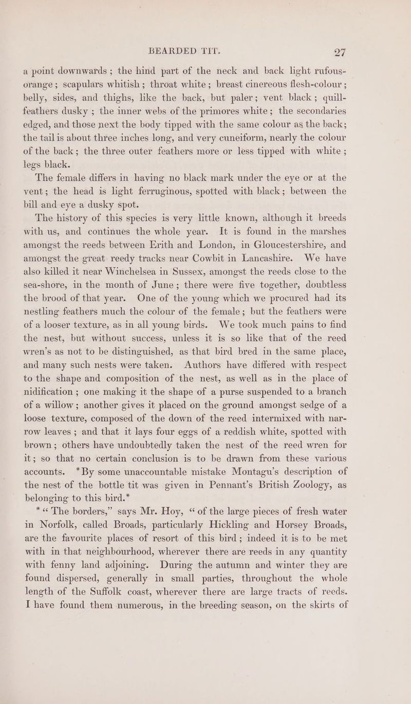 eel a point downwards ; the hind part of the neck and back light rufous- orange ; scapulars whitish ; throat white; breast cinereous flesh-colour ; belly, sides, and thighs, like the back, but paler; vent black; quill- feathers dusky ; the inner webs of the primores white; the secondaries edged, and those next the body tipped with the same colour as the back; the tailis about three inches long, and very cuneiform, nearly the colour of the back; the three outer feathers more or less tipped with white ; legs black. The female differs in having no black mark under the eye or at the vent; the head is light ferruginous, spotted with black; between the bill and eye a dusky spot. The history of this species is very little known, although it breeds with us, and continues the whole year. It is found in the marshes amongst the reeds between Erith and London, in Gloucestershire, and amongst the great. reedy tracks near Cowbit in Lancashire. We have also killed it near Winchelsea in Sussex, amongst the reeds close to the sea-shore, in the month of June; there were five together, doubtless the brood of that year. One of the young which we procured had its nestling feathers much the colour of the female; but the feathers were of a looser texture, as in all young birds. We took much pains to find the nest, but without success, unless it is so like that of the reed wren’s as not to be distinguished, as that bird bred in the same place, and many such nests were taken. Authors have differed with respect to the shape and composition of the nest, as well as in the place of nidification ; one making it the shape of a purse suspended to a branch of a willow; another gives it placed on the ground amongst sedge of a loose texture, composed of the down of the reed intermixed with nar- row leaves ; and that it lays four eggs of a reddish white, spotted with brown ; others have undoubtedly taken the nest of the reed wren for it; so that no certain conclusion is to be drawn from these various accounts. *By some unaccountable mistake Montagu’s description of the nest of the bottle tit was given in Pennant’s British Zoology, as belonging to this bird.* *« The borders,” says Mr. Hoy, “ of the large pieces of fresh water in Norfolk, called Broads, particularly Hickling and Horsey Broads, are the favourite places of resort of this bird; indeed it is to be met with in that neighbourhood, wherever there are reeds in any quantity with fenny land adjoinmg. During the autumn and winter they are found dispersed, generally in small parties, throughout the whole length of the Suffolk coast, wherever there are large tracts of reeds. I have found them numerous, in the breeding season, on the skirts of