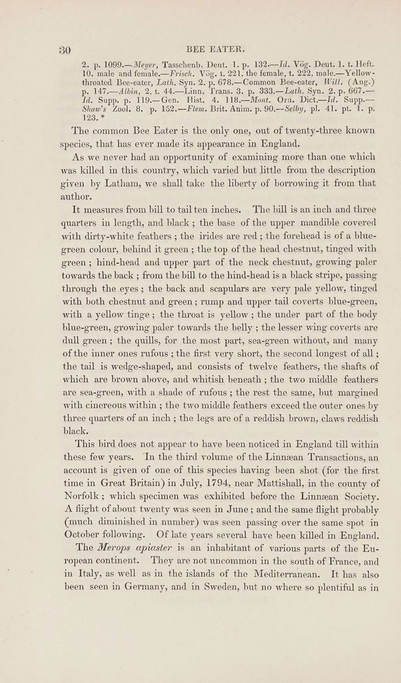 2. p. 1099.— Meyer, Tasschenb. Deut. 1. p. 132.—Id. Vog. Deut. 1. t. Heft. 10. male and female.—F'risch. Vig. t. 221. the female, t. 222. male.—Yellow- throated Bee-eater, Lath, Syn. 2. p. 678.—Common Bee-eater, Will. (Ang.) p- 147.—Albin, 2. t. 44.—Linn. Trans. 3. p. 333.—Lath, Syn. 2. p. 667.— Id. Supp. p. 119.—Gen. Hist. 4. 118.—Mont. Orn. Dict.—Id. Supp.— Shaw’s Zool. 8. p. 152.—Flem. Brit. Anim. p. 90.—Selby, pl. 41. pt. 1. p. 120, The common Bee Eater is the only one, out of twenty-three known species, that has ever made its appearance in England. As we never had an opportunity of examining more than one which was killed in this country, which varied but little from the description given by Latham, we shall take the liberty of borrowing it from that author. It measures from bill to tailten inches. The bill is an inch and three quarters in length, and black ; the base of the upper mandible covered with dirty-white feathers ; the irides are red ; the forehead is of a blue- ereen colour, behind it green ; the top of the head chestnut, tinged with green ; hind-head and upper part of the neck chestnut, growing paler towards the back ; from the bill to the hind-head is a black stripe, passing through the eyes; the back and scapulars are very pale yellow, tinged with both chestnut and green; rump and upper tail coverts blue-green, with a yellow tinge; the throat is yellow ; the under part of the body blue-green, growing paler towards the belly ; the lesser wing coverts are dull green ; the quills, for the most part, sea-green without, and many of the inner ones rufous ; the first very short, the second longest of all ; the tail is wedge-shaped, and consists of twelve feathers, the shafts of which are brown above, and whitish beneath ; the two middle feathers are sea-green, with a shade of rufous ; the rest the same, but margined with cinereous within ; the two middle feathers exceed the outer ones by three quarters of an inch ; the legs are of a reddish brown, claws reddish black. This bird does not appear to have been noticed in England till within these few years. In the third volume of the Linnzan Transactions, an account is given of one of this species having been shot (for the first time in Great Britain) in July, 1794, near Mattishall, in the county of Norfolk ; which specimen was exhibited before the Linnean Society. A flight of about twenty was seen in June; and the same flight probably (much diminished in number) was seen passing over the same spot in October following. Of late years several have been killed in England. The Merops apiaster is an inhabitant of various parts of the Eu- ropean continent. They are not uncommon in the south of France, and in Italy, as well as in the islands of the Mediterranean. It has also been seen in Germany, and in Sweden, but no where so plentiful as in