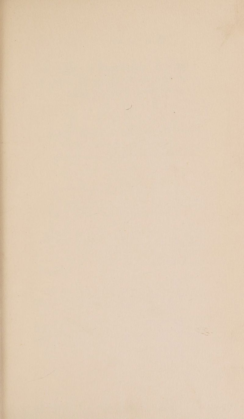 s % ’ ; = a ms ‘ nik ~ ~ . res if ‘ : “y Se eS “ay deiip is iy Wie ye - ioe Bia . i = . by