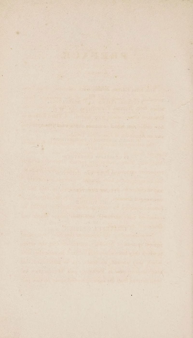 tig a } é rae & , Mg Pi aa ¥; ‘on. Fae, 2 oS ee t yaad W or itp aA aA