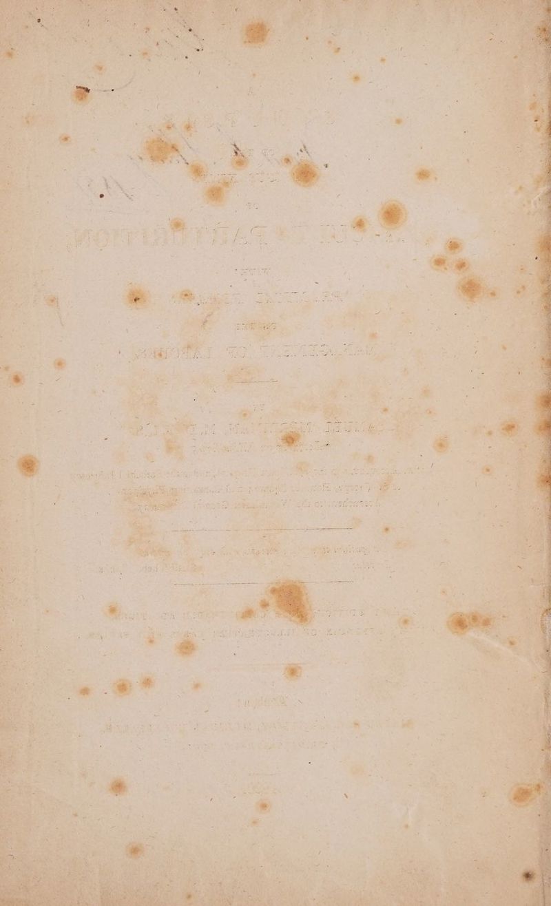 Pes oR \avaen A F 7 er a was yee es iy Le? die wie Heian woes ik ety ; 7 ehh NE: Hines ye evr oa WAN wa Grae TN ete 9 1 > aM ot APN aud & . .