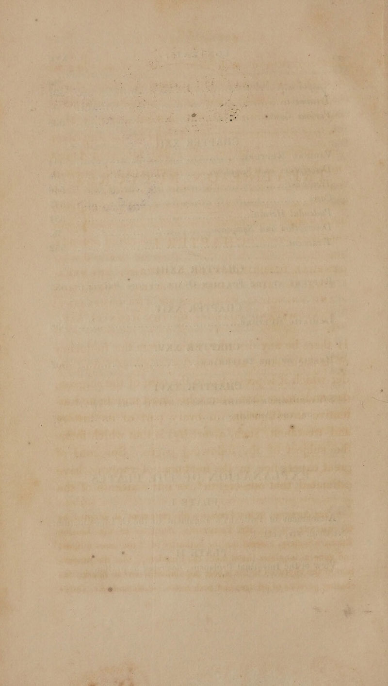 a a fay : i Qin td nd