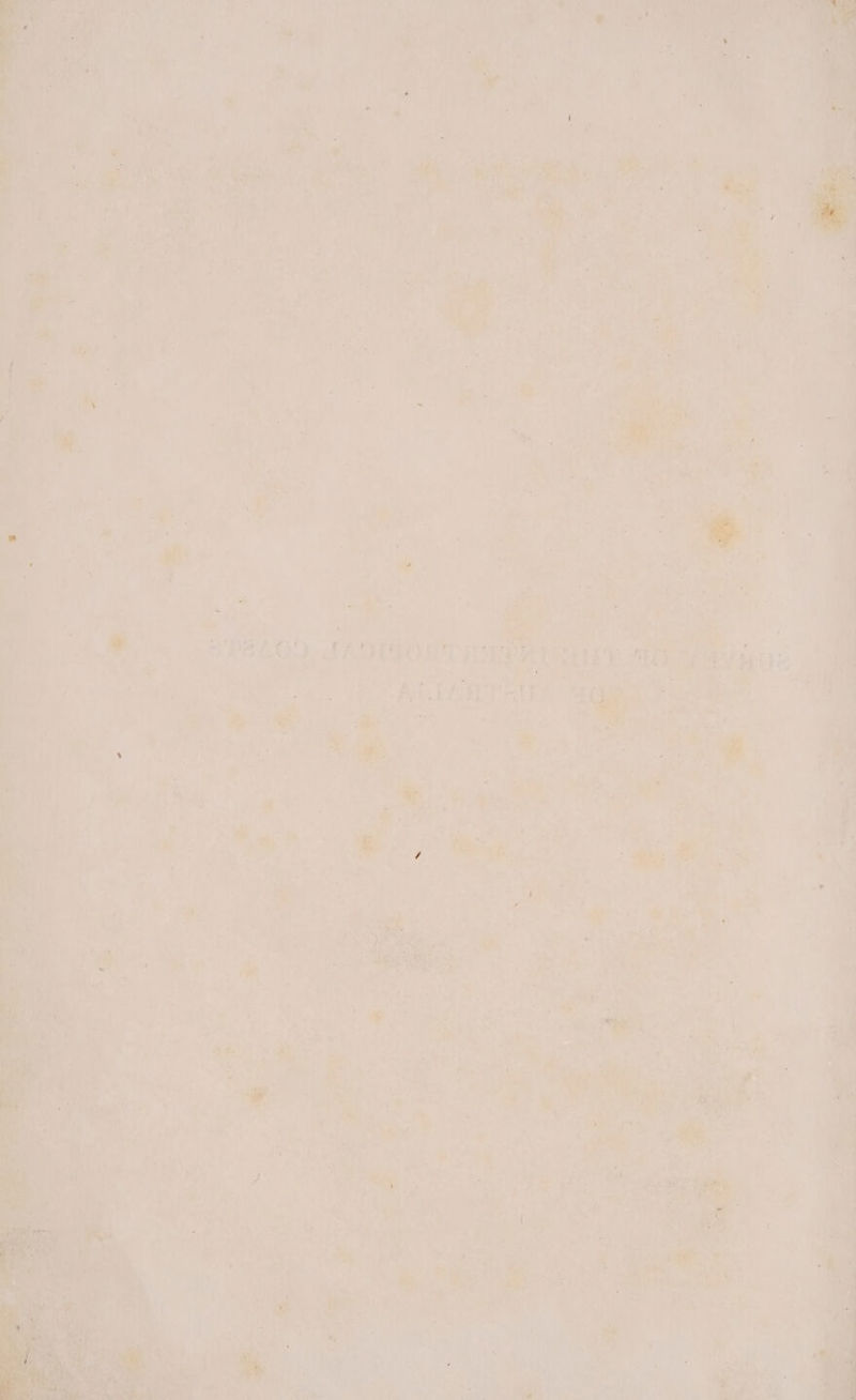 ae siping he ® 4 Tip